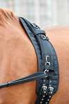 HorseGuard Lunging Girth