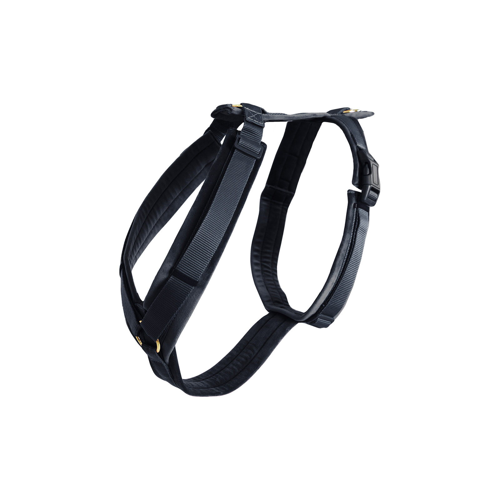 Black Kentucky Dogwear Active Velvet Sele
