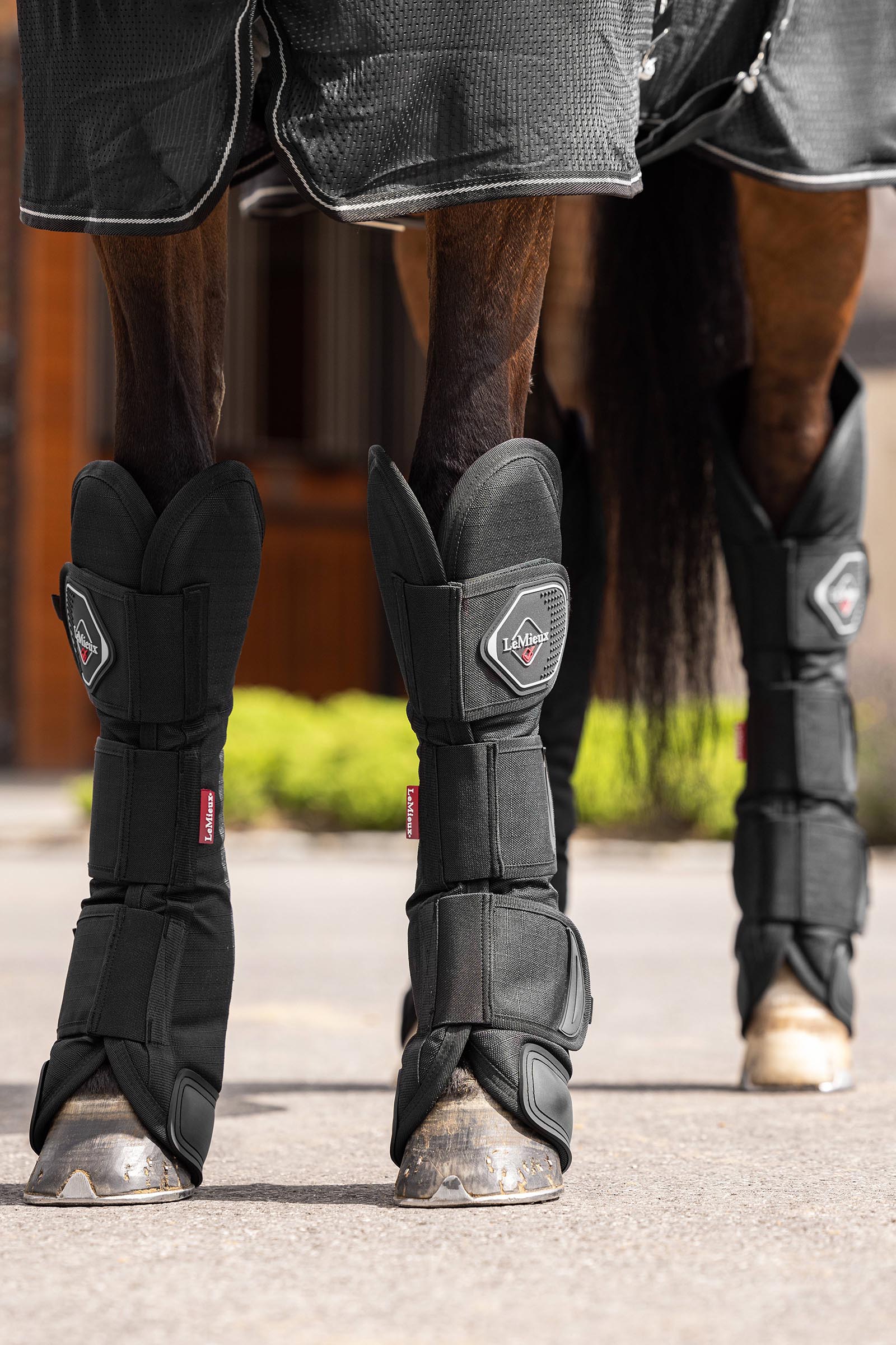 LeMieux transportskydd