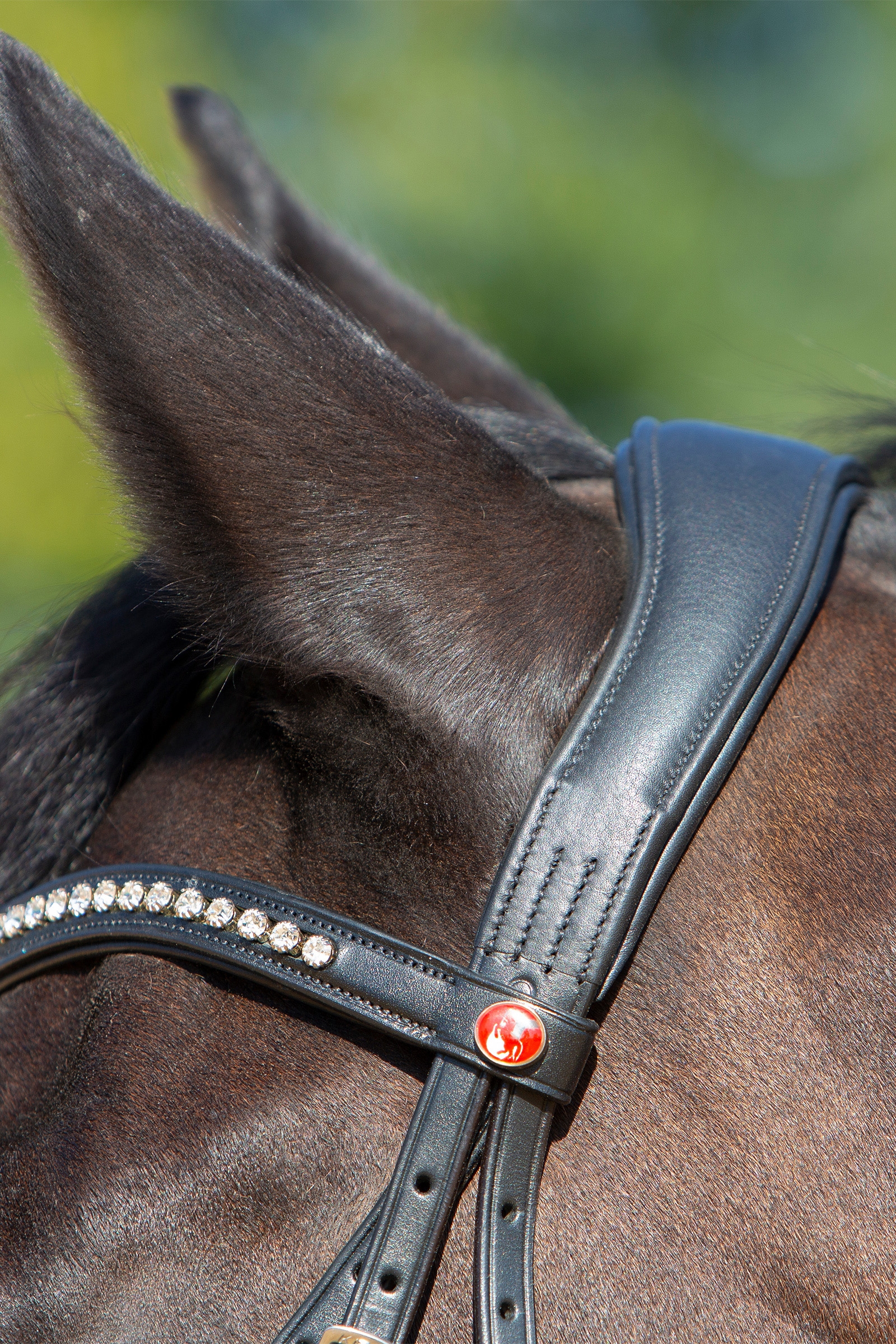 Kieffer Ultrasoft® Sue Bridle