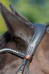 Kieffer Ultrasoft® Sue Bridle