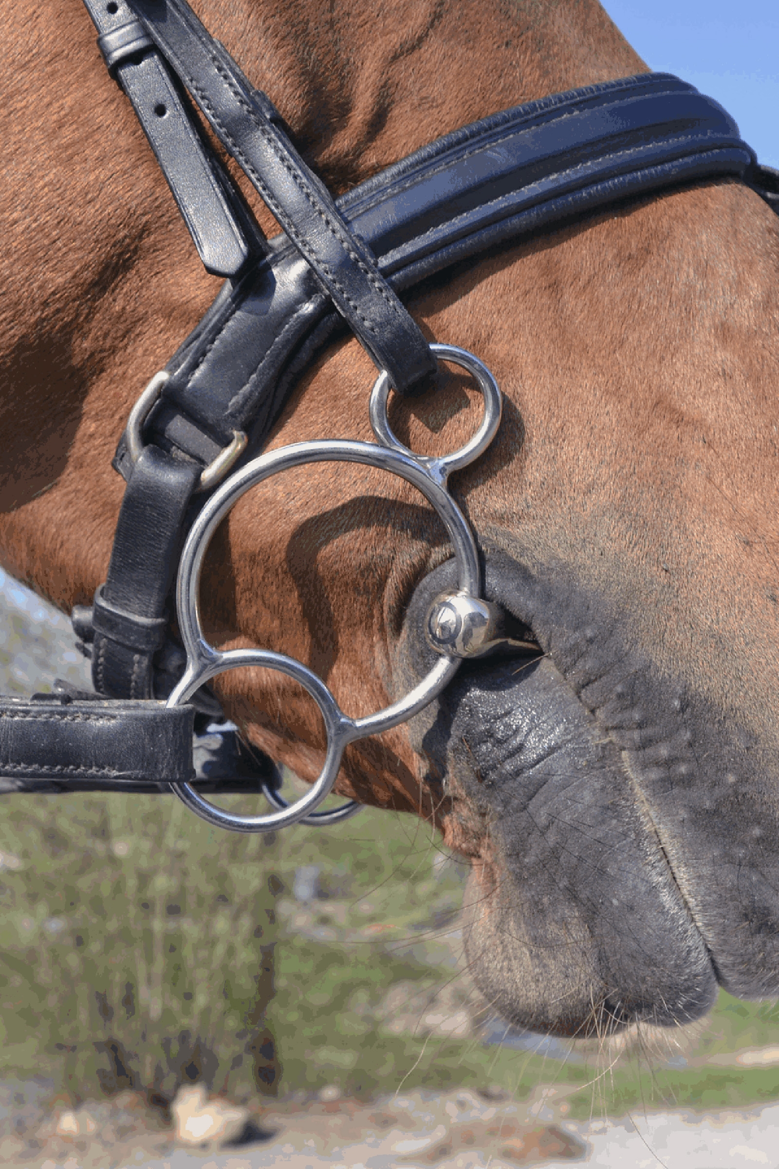 Sprenger KK Universal Bett i Sensogan, 14MM enkel led.