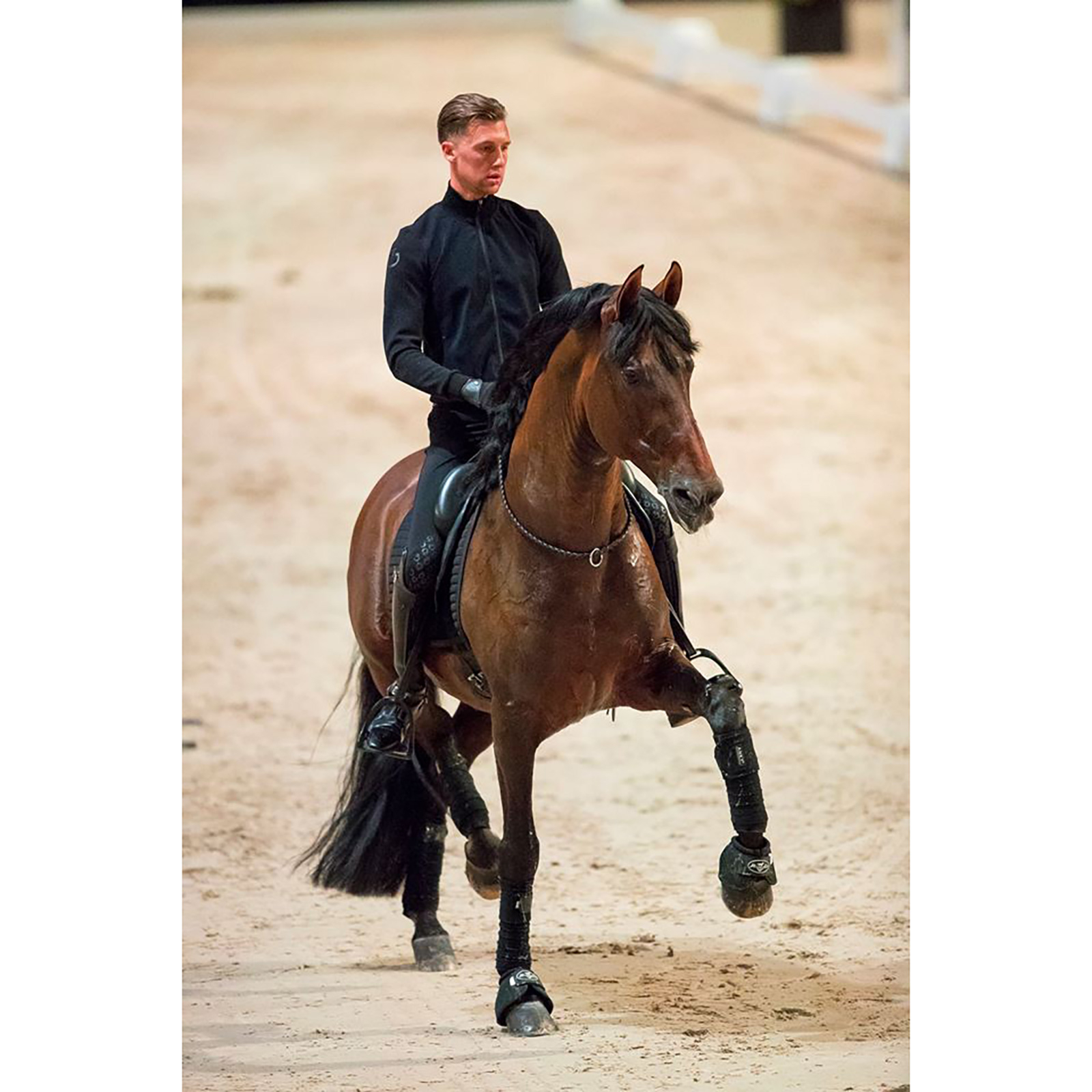 Brown F.R.A. Freedom Riding Articles Kripton halsrem (System 1) v&auml;vt l&auml;der, 15 mm