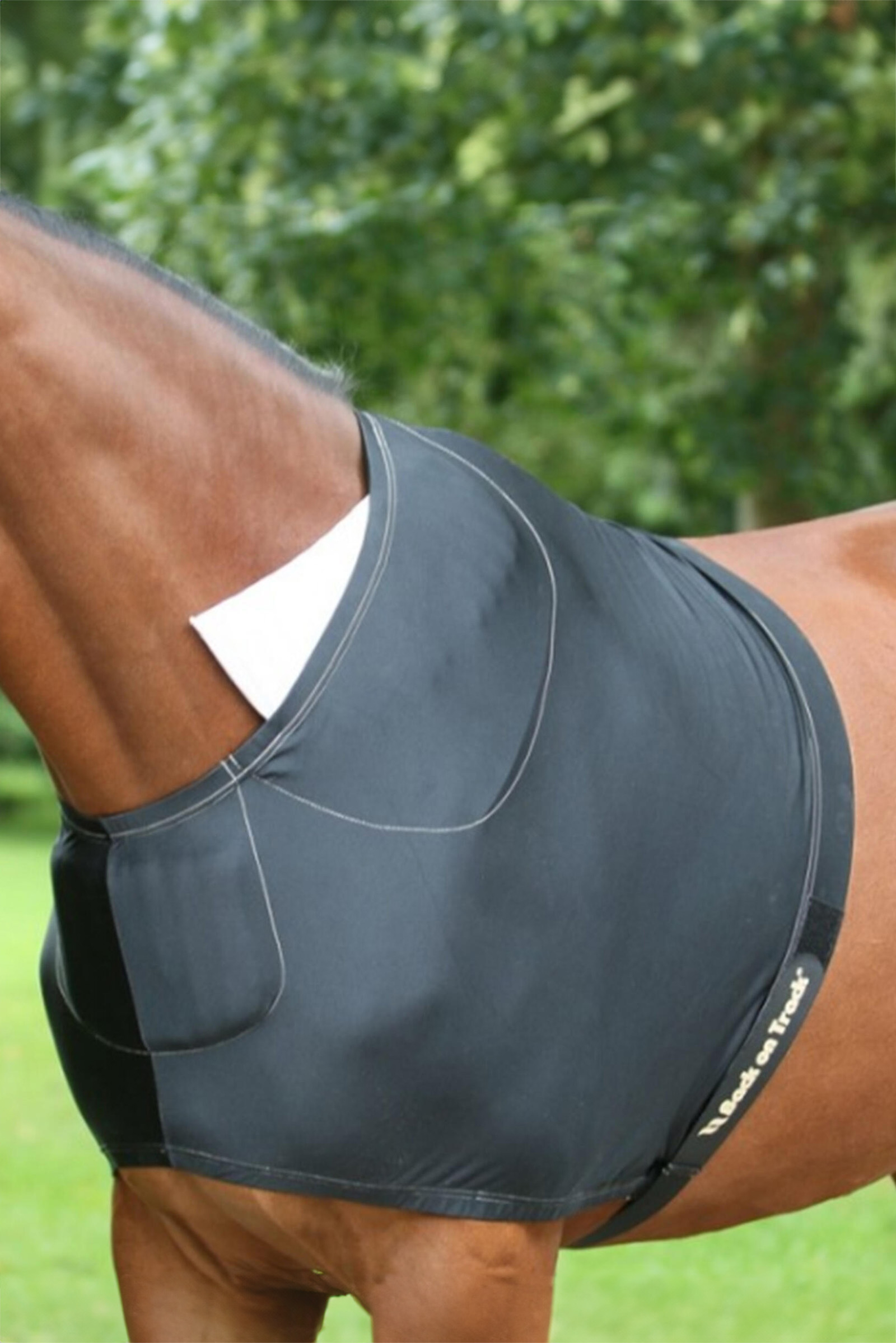 Back on Track bogskydd