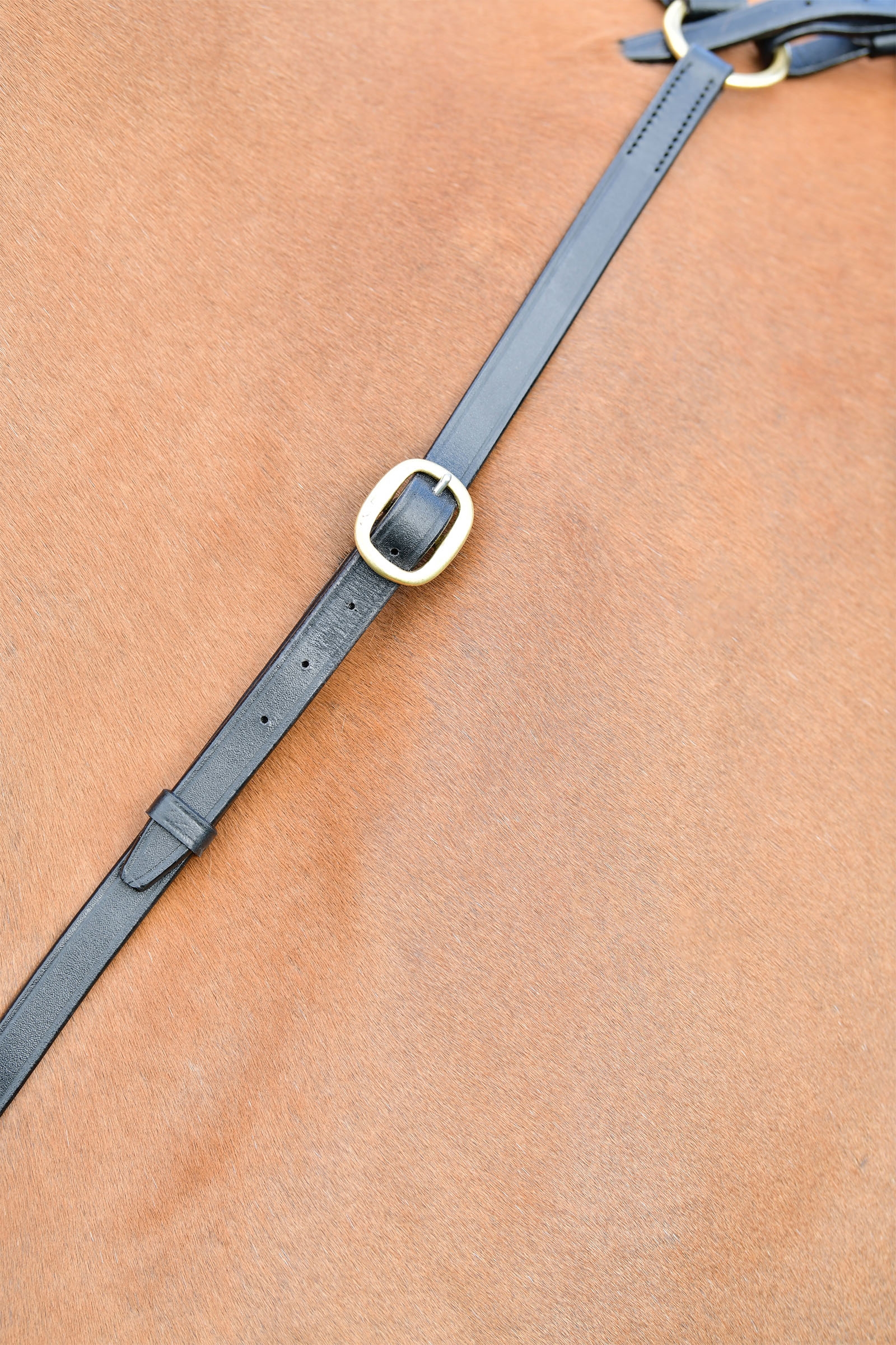 Kincade Classic 3-punkts brösta med löpande martingal