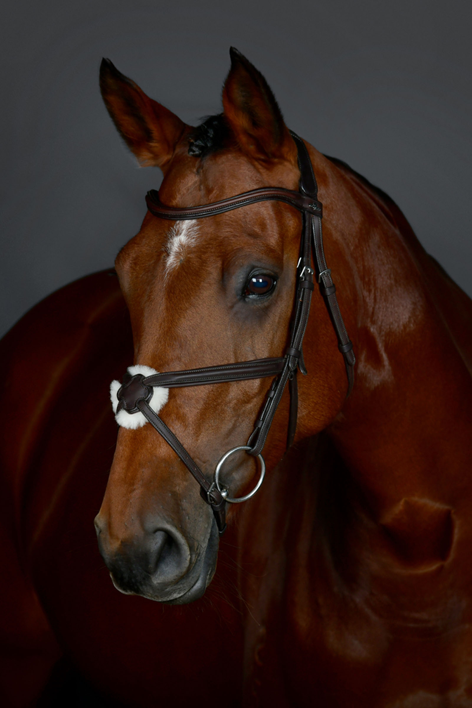 Dark Brown Collegiate Comfitec Opulux enkel vadderad tr&auml;ns med mexikansk nosgrimma