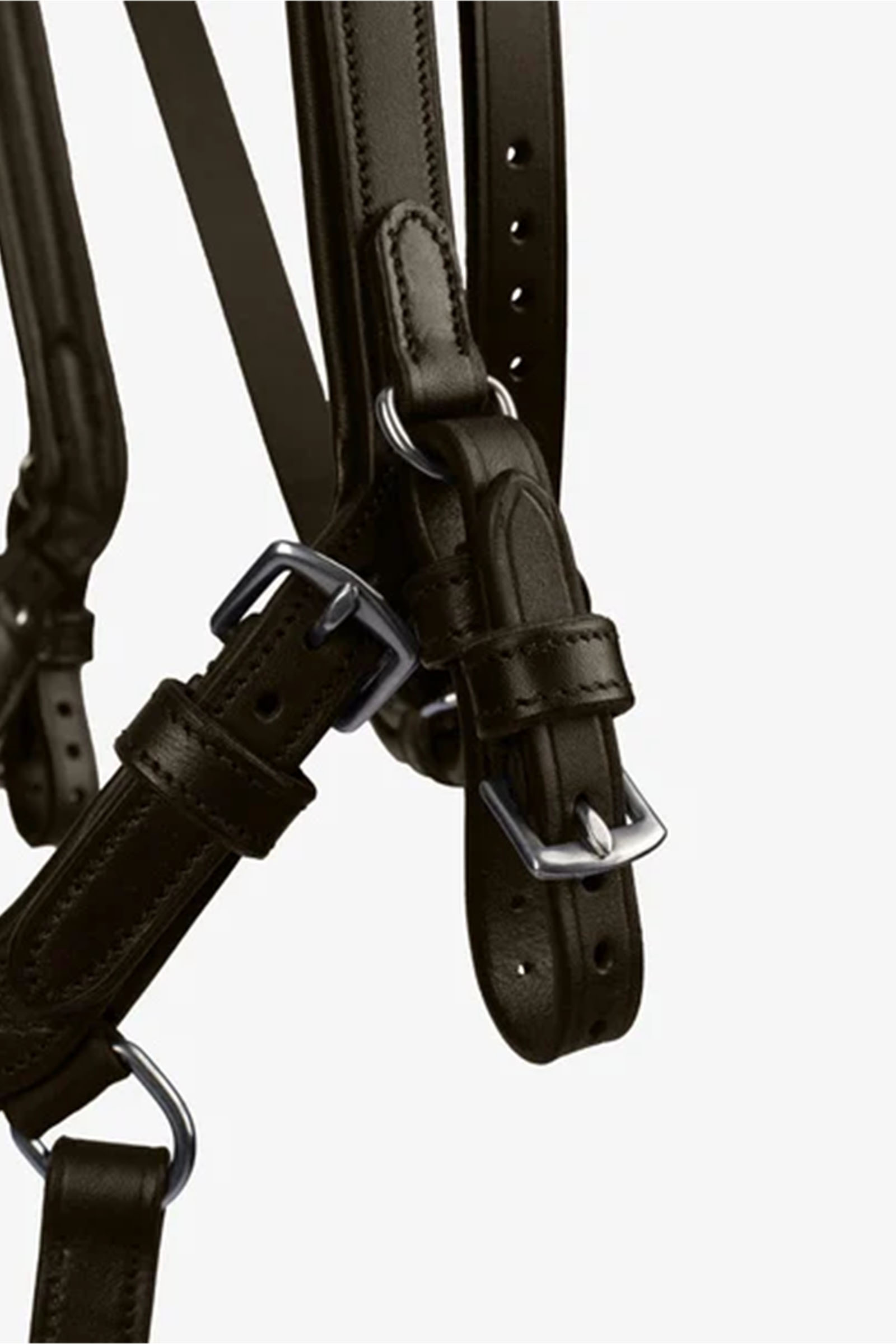 PS of Sweden Träns King Edward