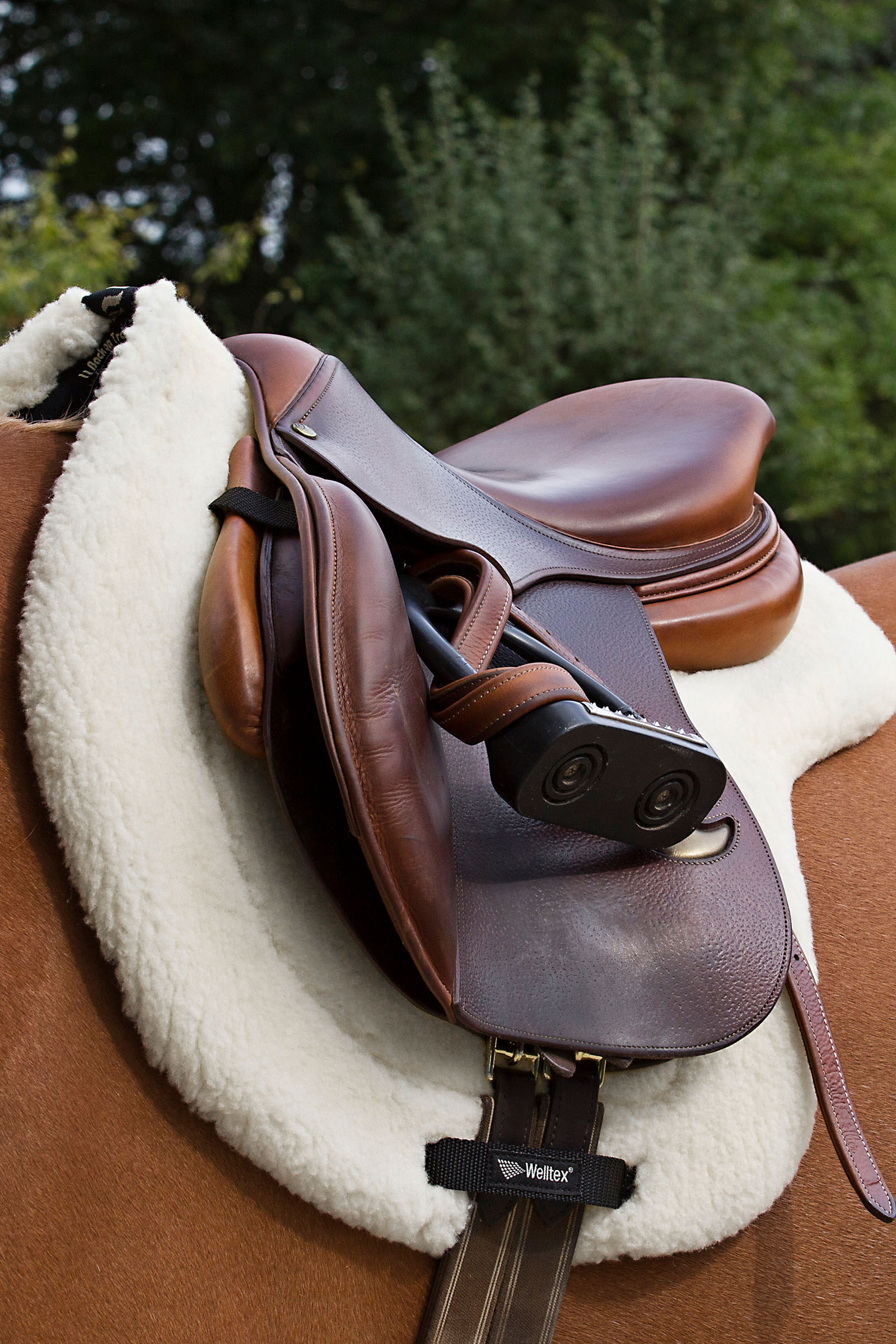 Back on Track "Teddy" Padd