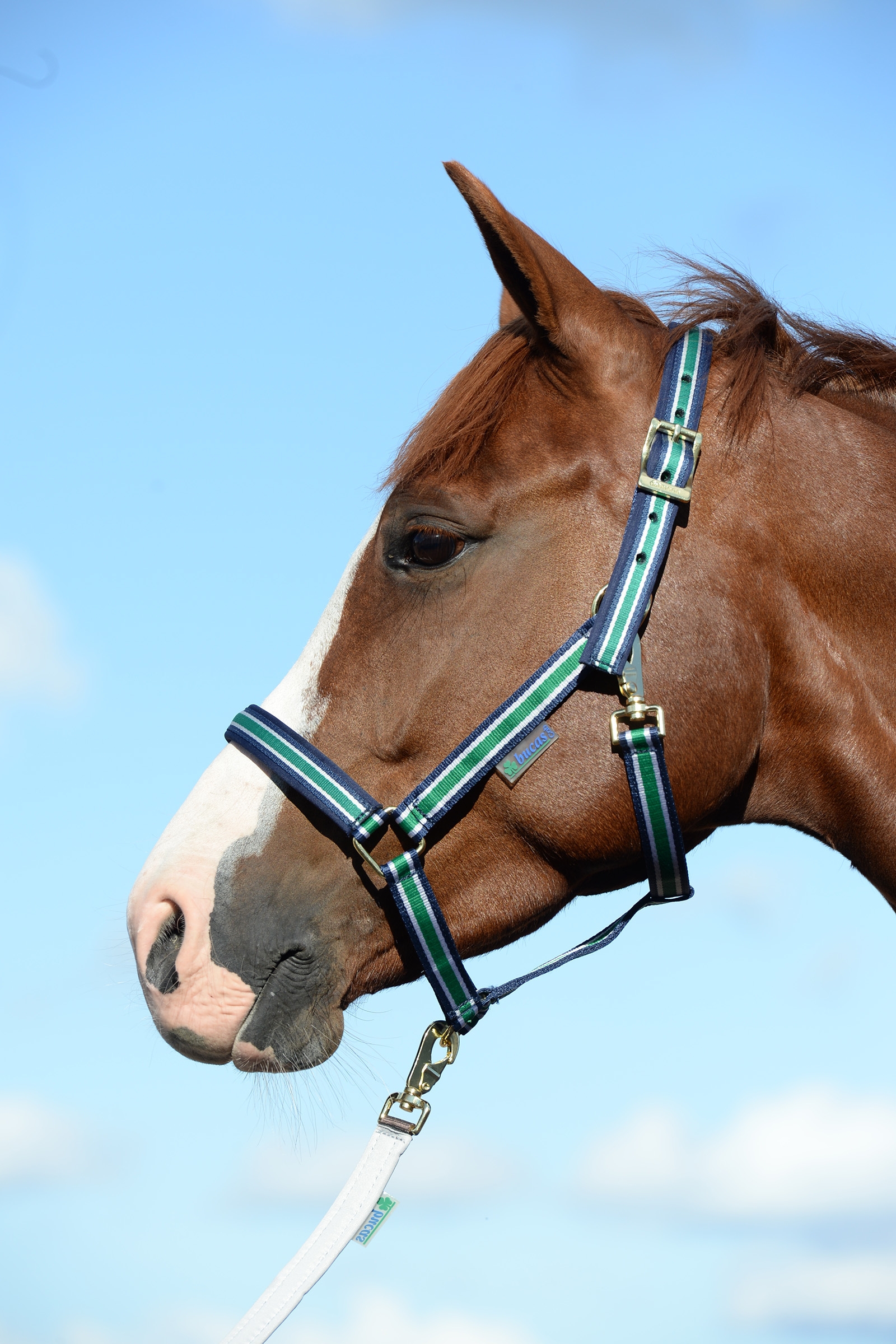 Off-White/Dark Blue Bucas Dublin Luxury vadderade grimma