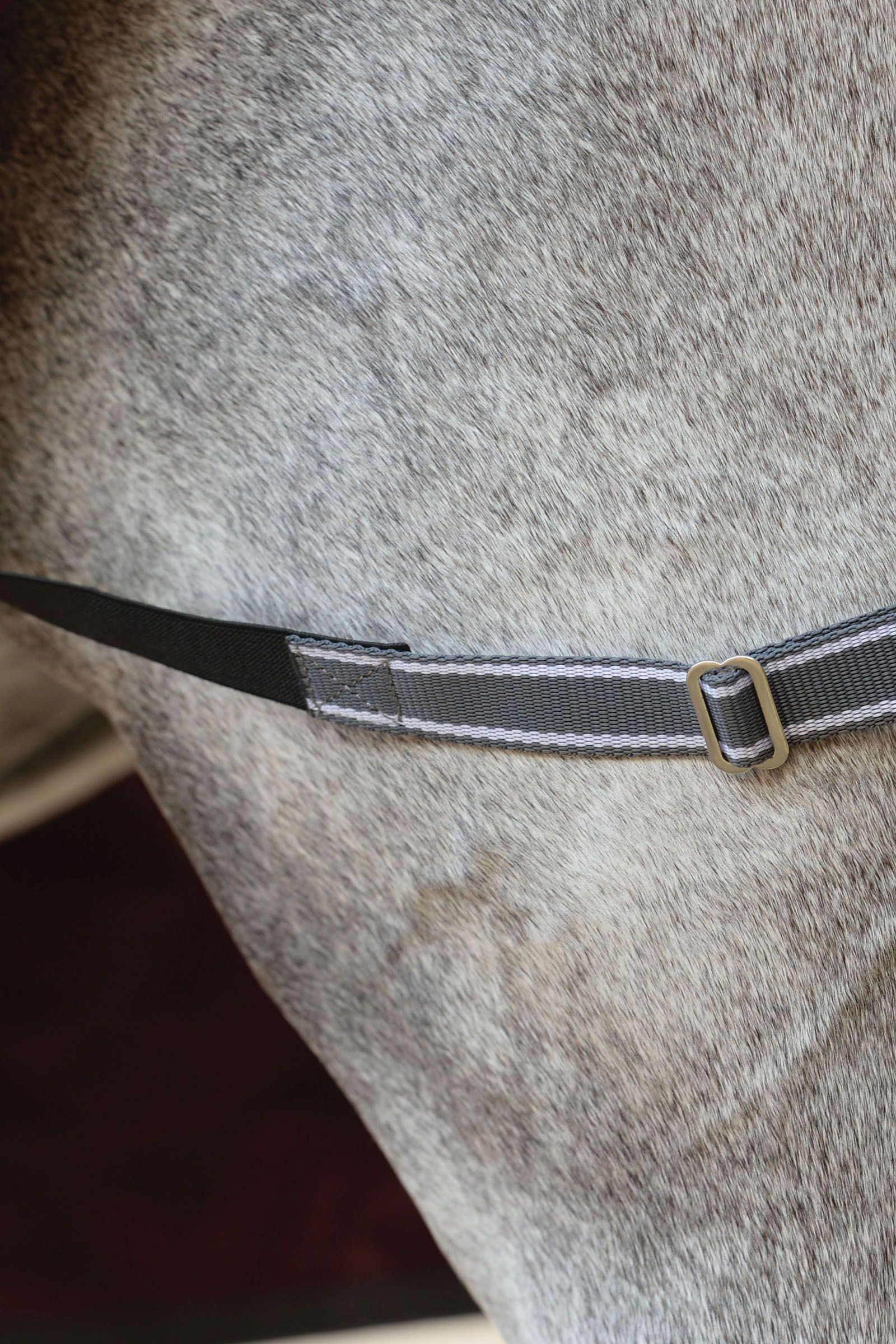 Weatherbeeta Comfitec Plus Dynamic II Combo Neck Turnout Utetäcke, 220g