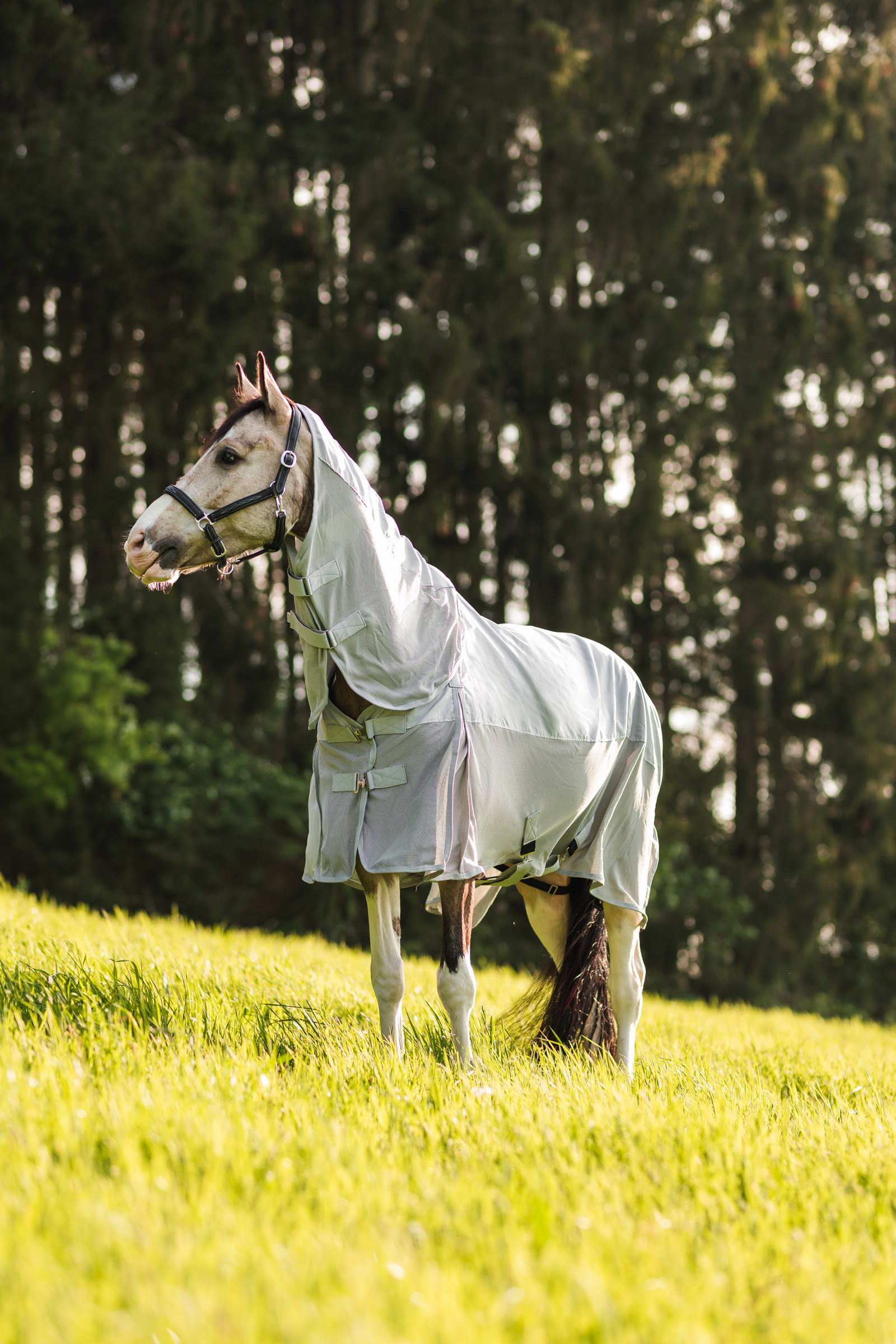 Horze Nevada Combo svett- och flugtäcke