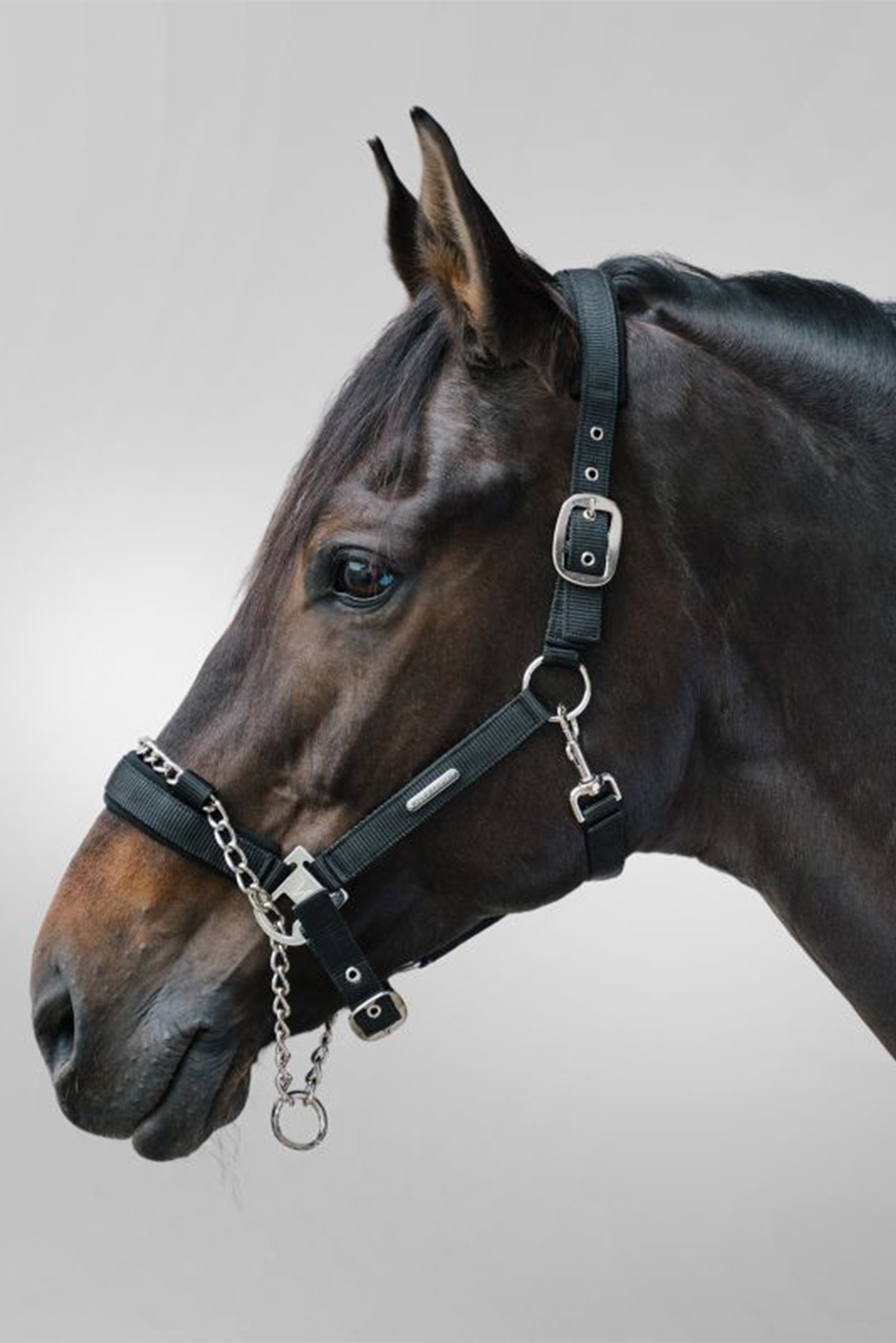 Waldhausen Pro Safety grimma