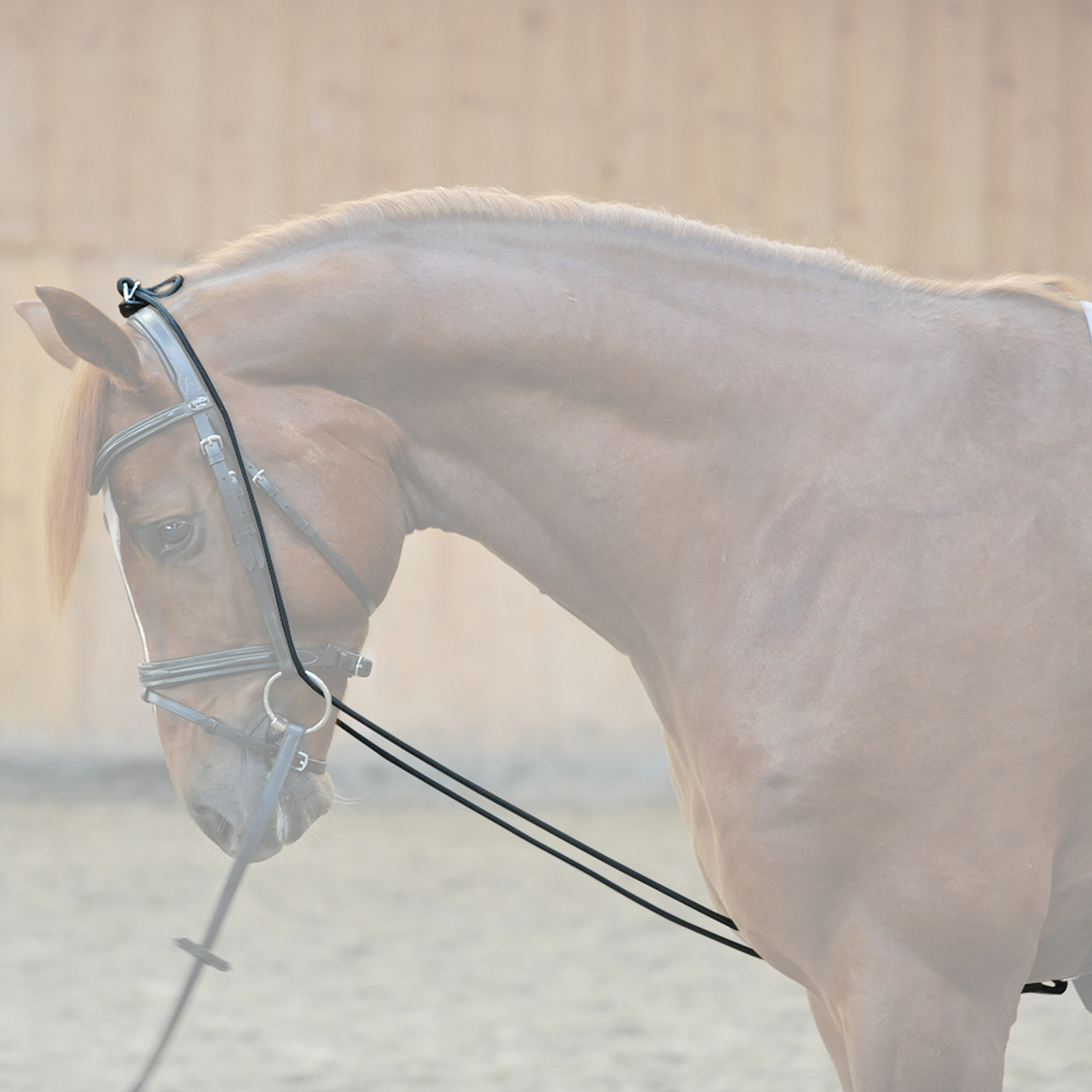 Kavalkade halsf&ouml;rl&auml;ngare, t&ouml;jbar