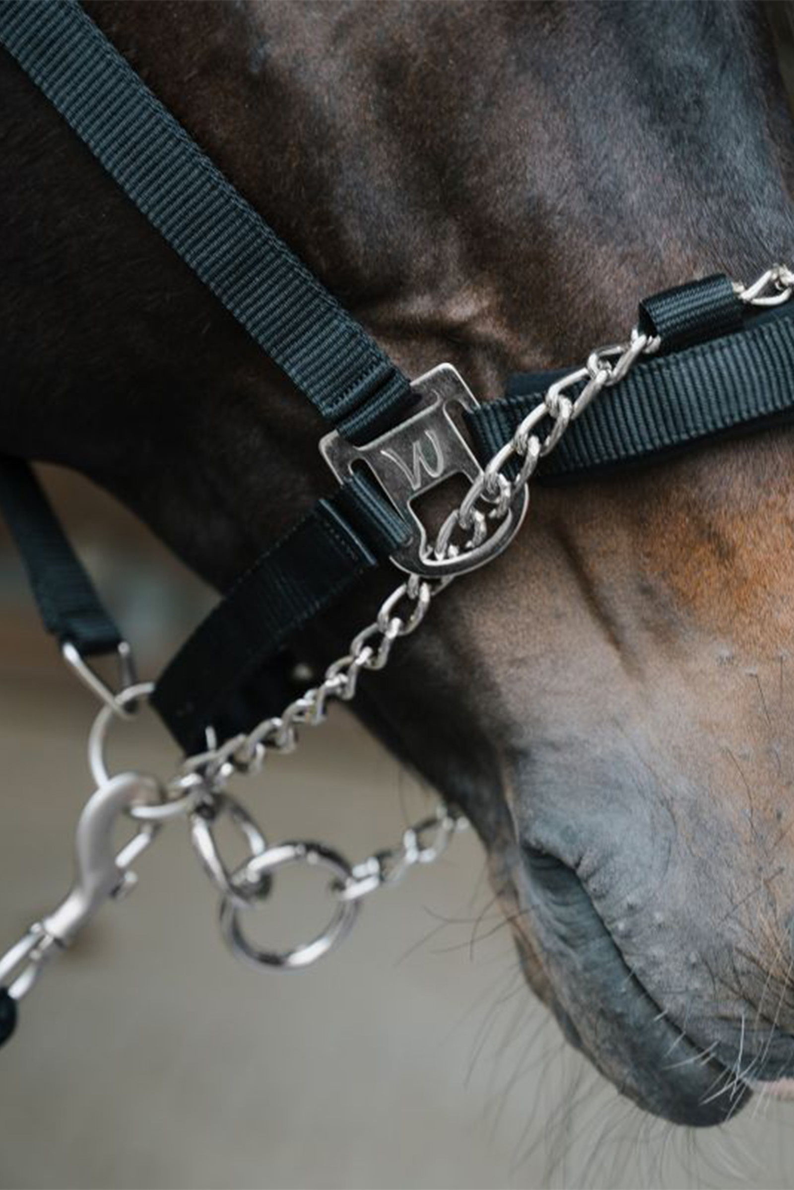 Waldhausen Pro Safety grimma