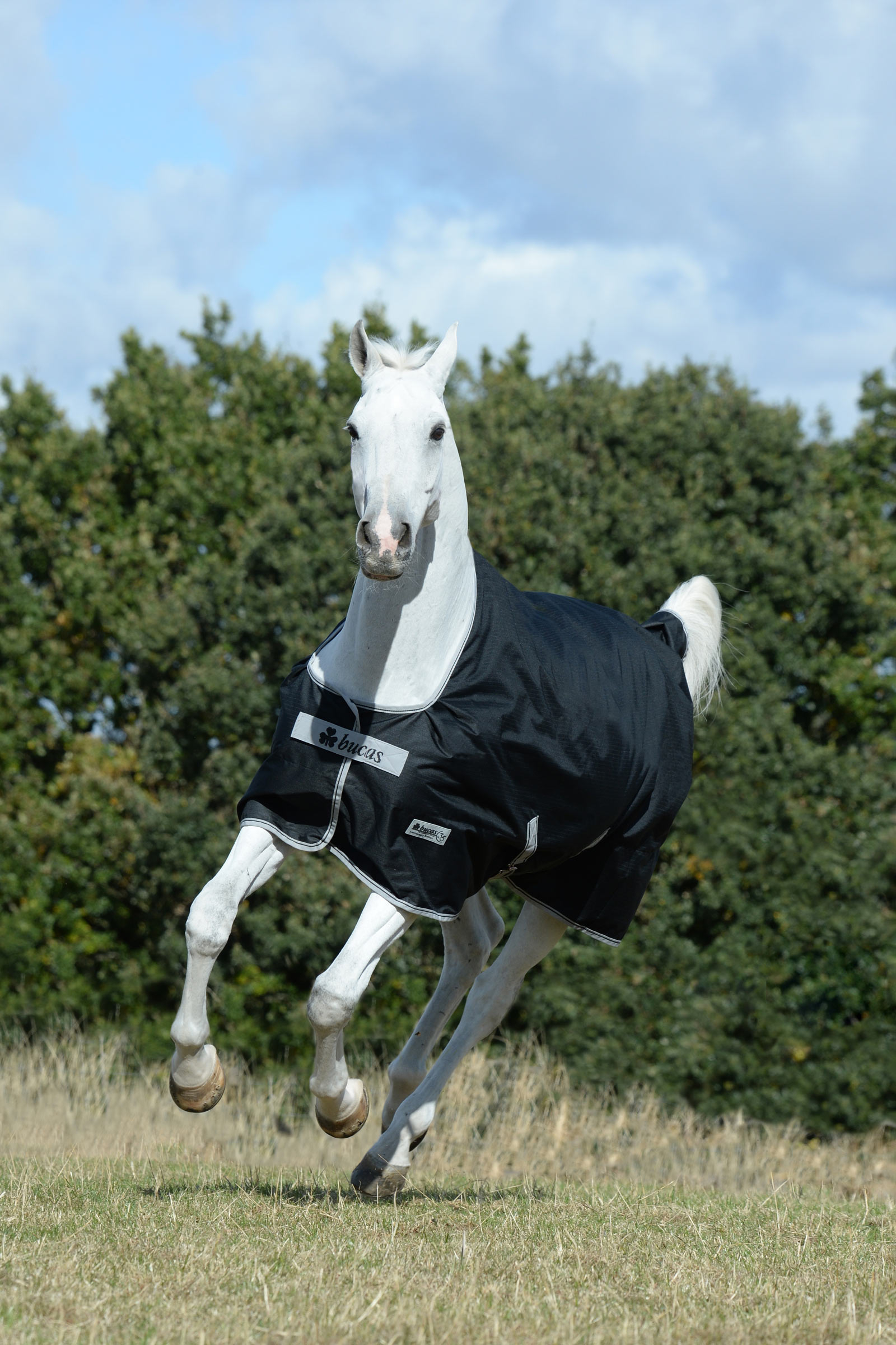 Bucas Anniversary SD lättviktigt regntäcke, 0g