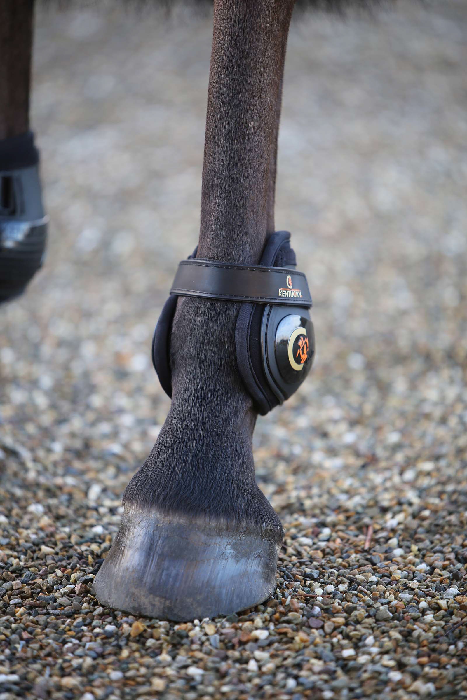 Kentucky Horsewear Moonboots, bakben