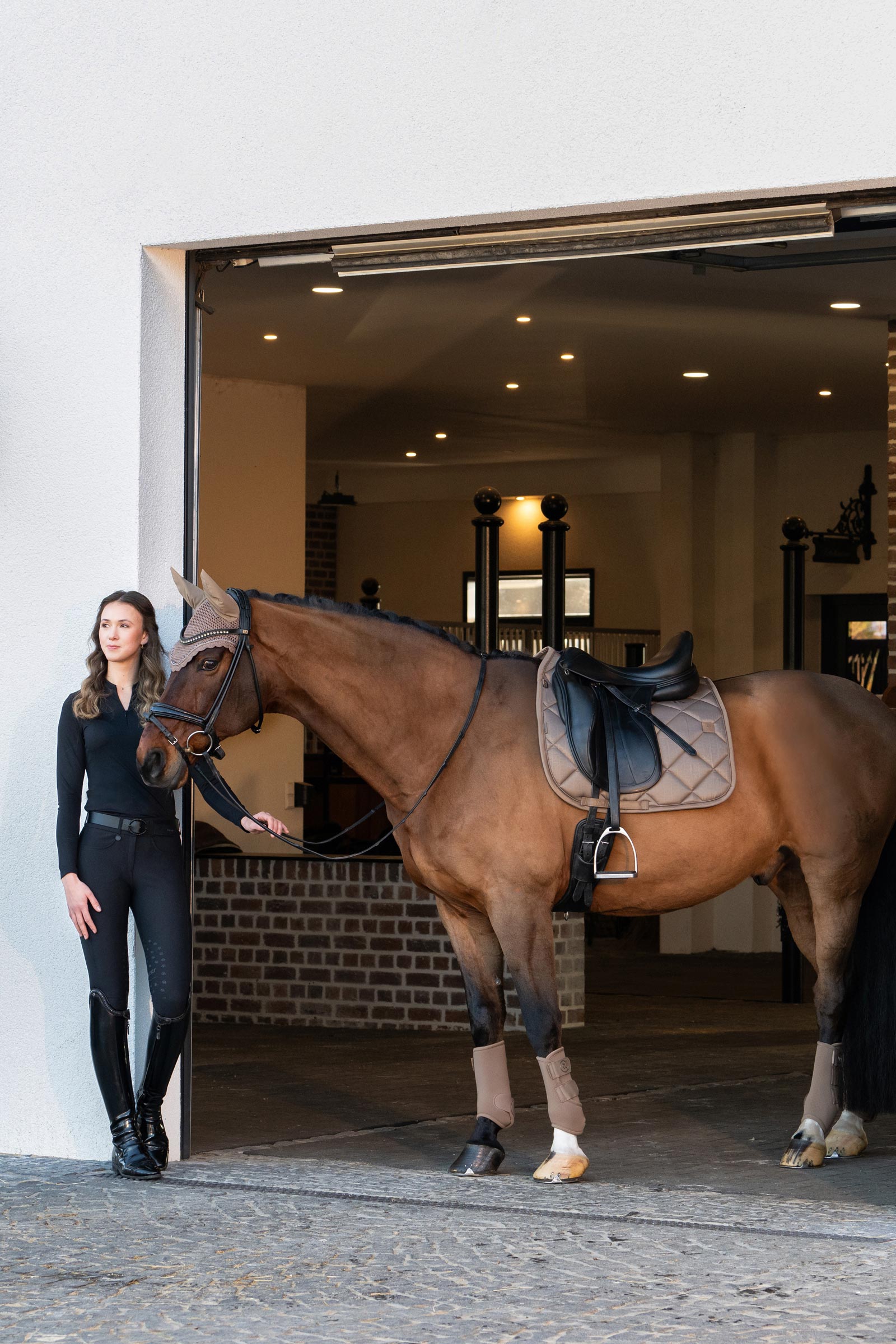 Eskadron Platinum 25 Glossy Bit Dressyrschabrak