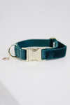 Kentucky Dogwear Dog Velvet hundhalsband