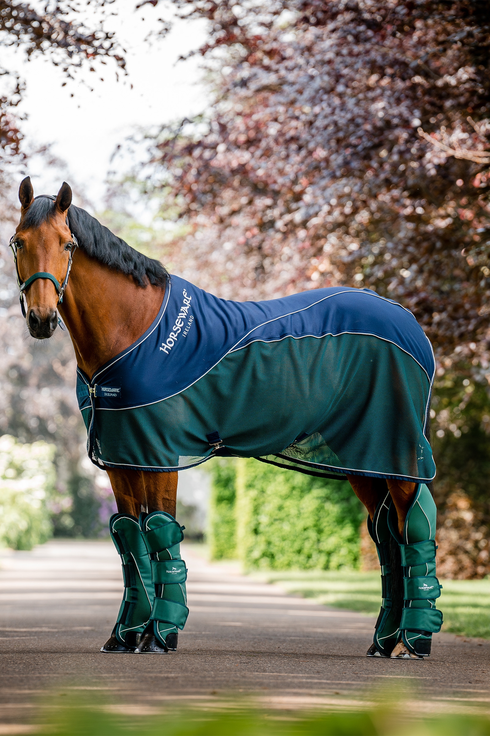 Horseware Signature Sport Svettfilt