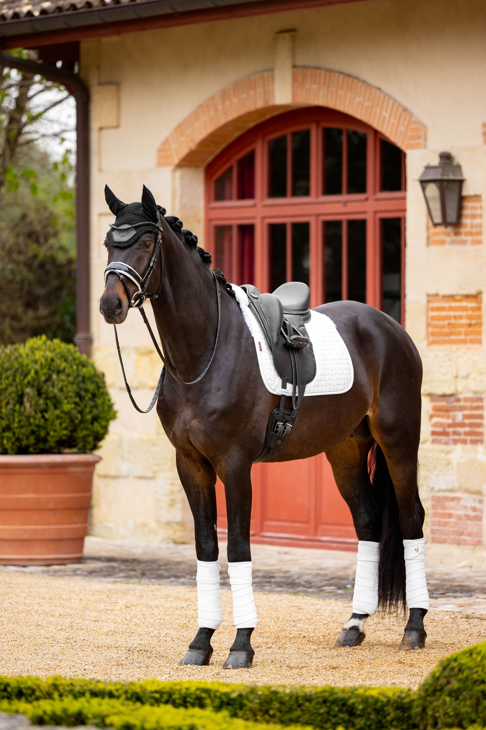 LeMieux Merino+ Dressyrschabrak med mockaeffekt, halvfodrad