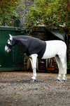 Horseware Rambo Slinky Hood