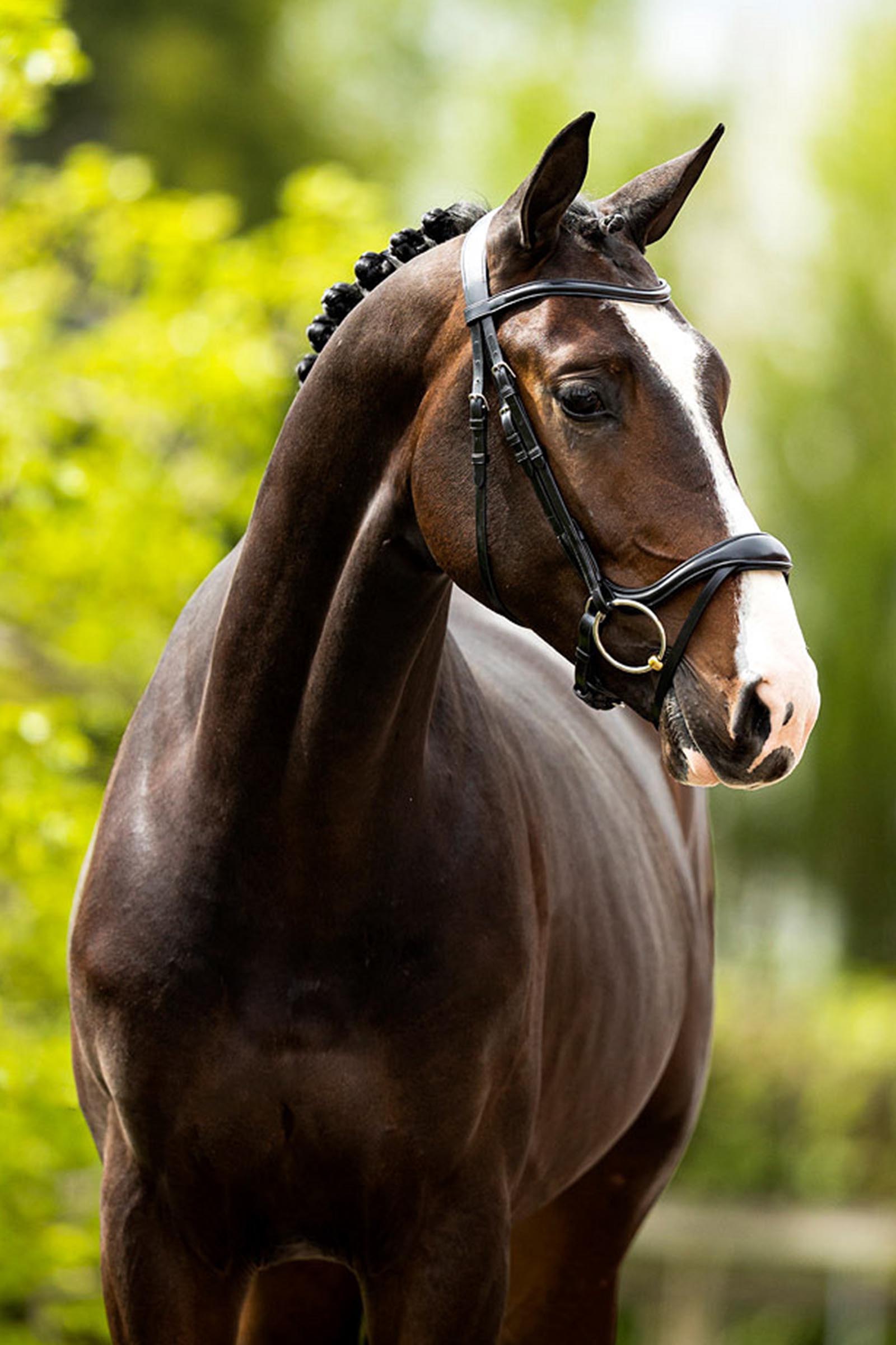 BR Longridge tr&auml;ns