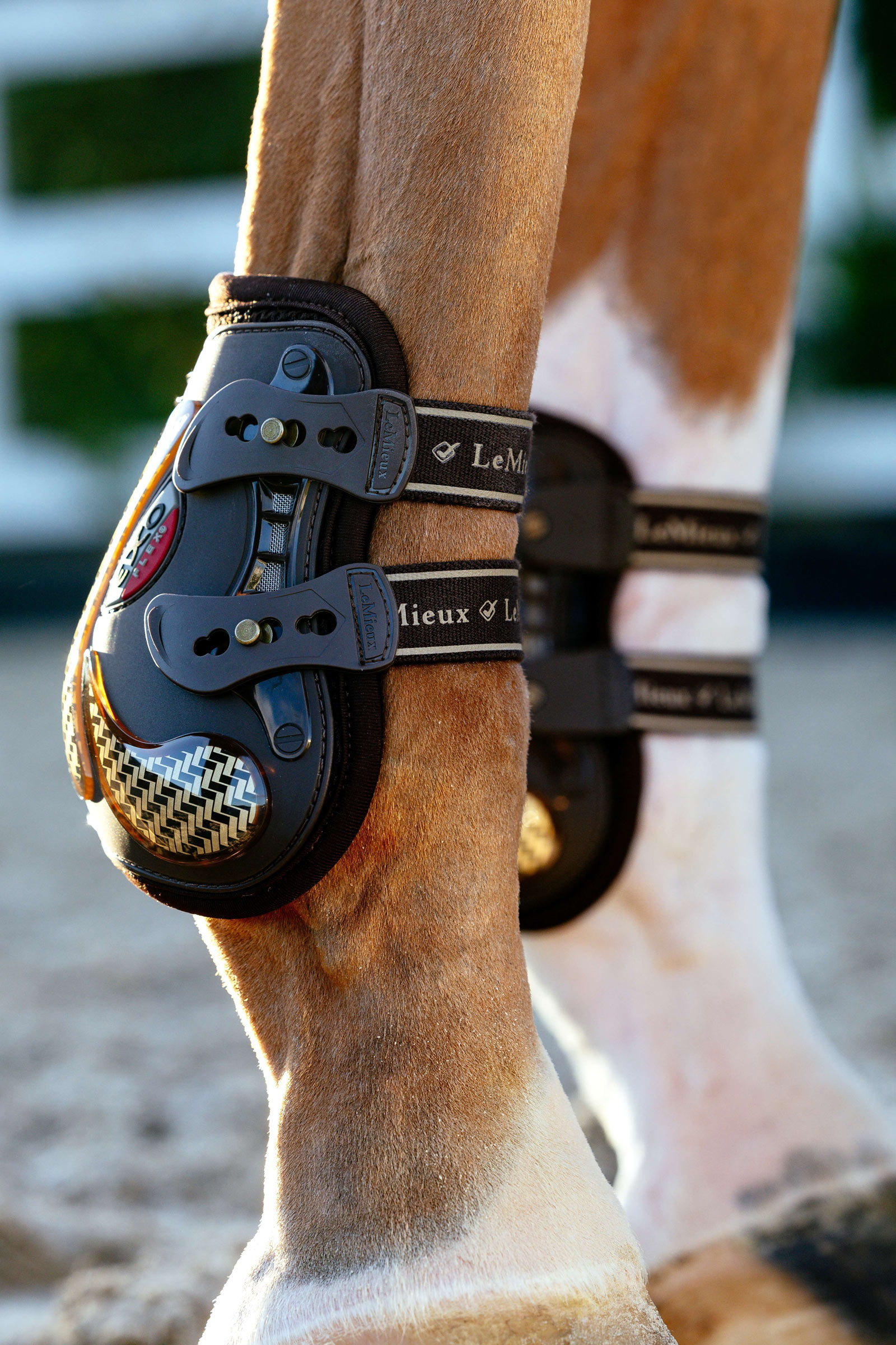 LeMieux EXO Flex ankelst&ouml;vlar