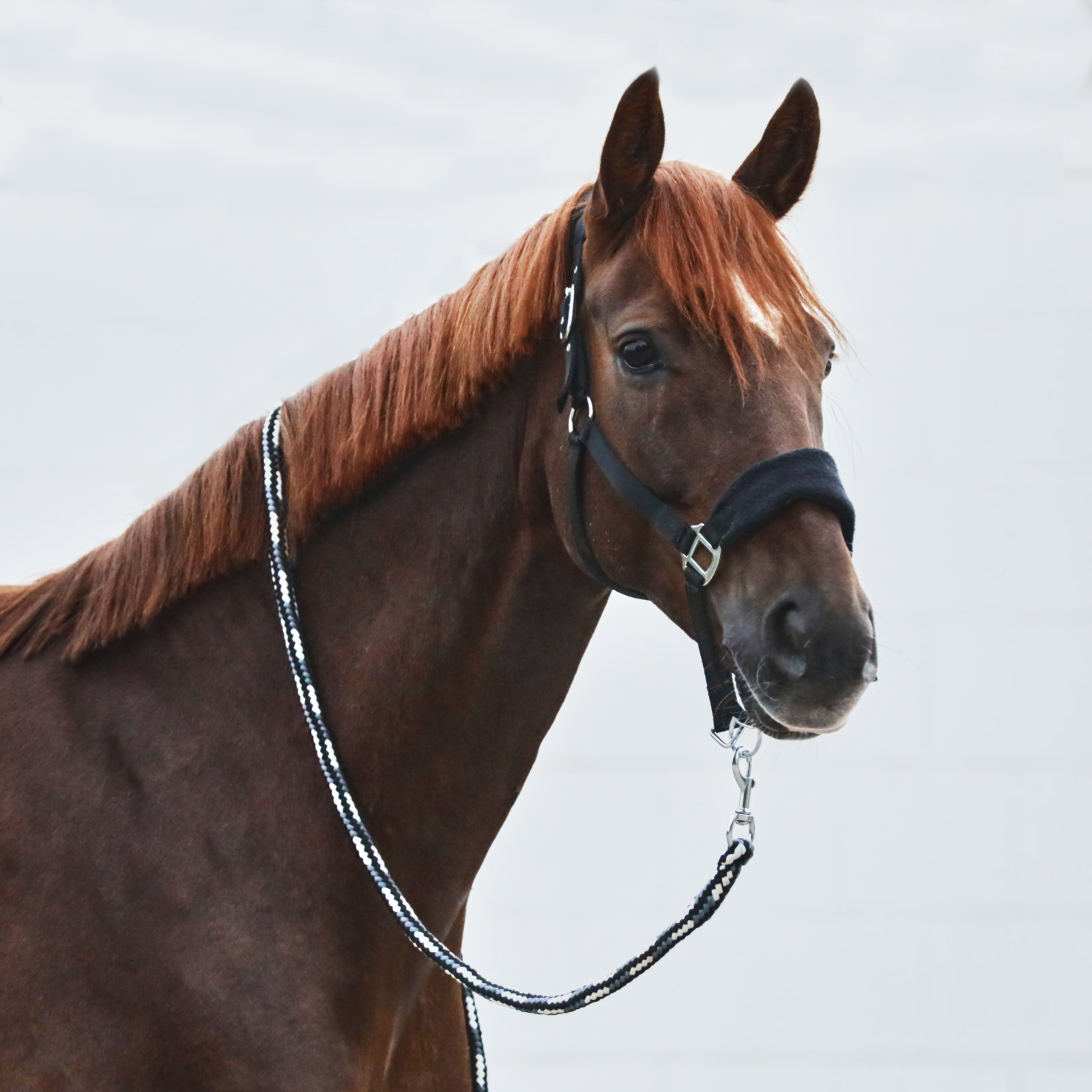 Horze Kiel Grimma med fleece