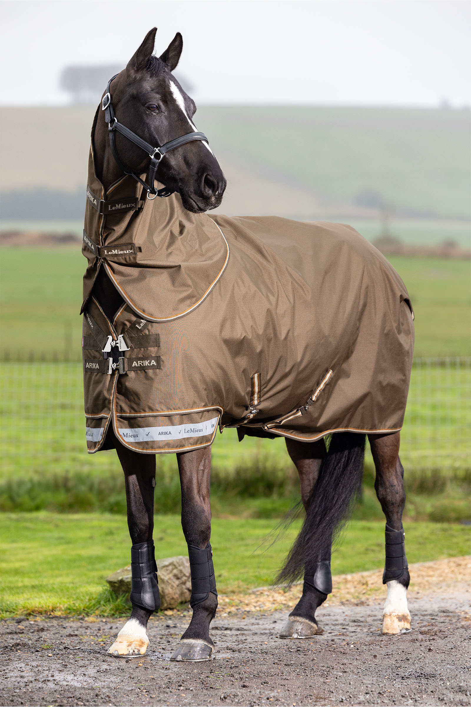 LeMieux Arika Ripstop Turnout Rug With Detachable Neck, 0 g