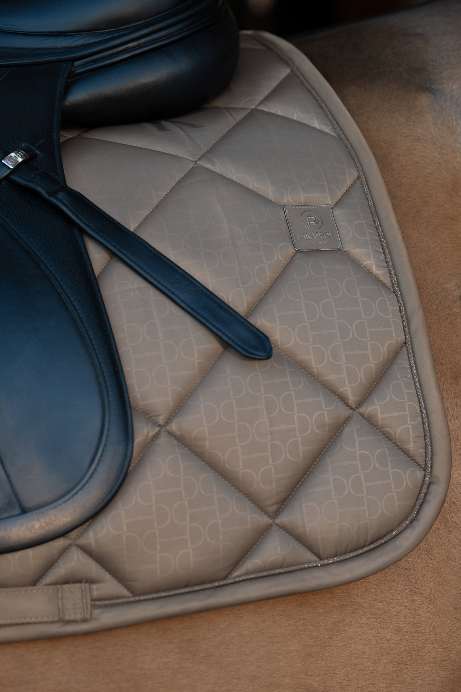 Eskadron Platinum 25 Glossy Bit Dressyrschabrak