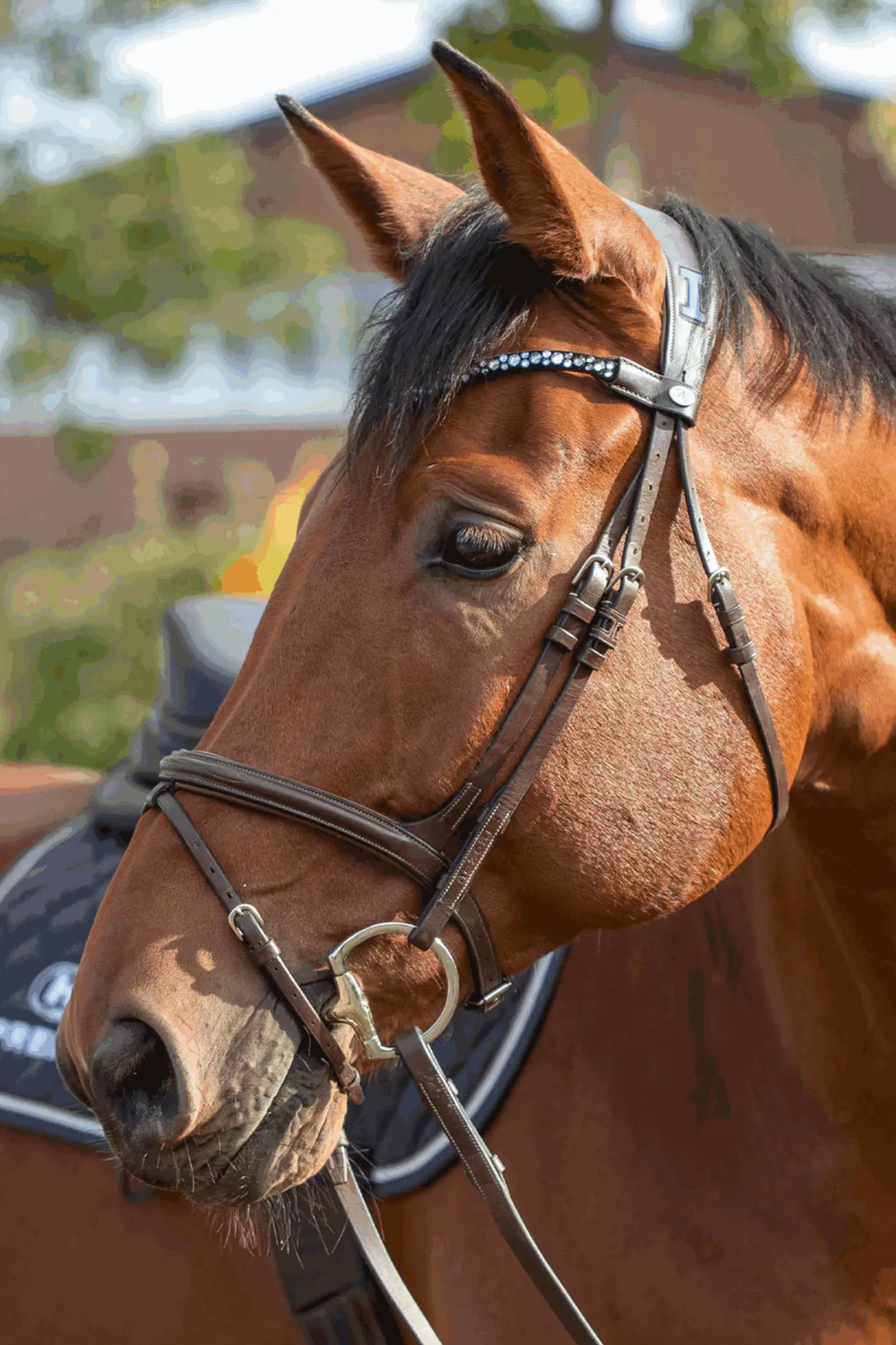 Sprenger Novocontact Eggbett 14mm Enkelledat Sensogan Med D-Formade Ringar