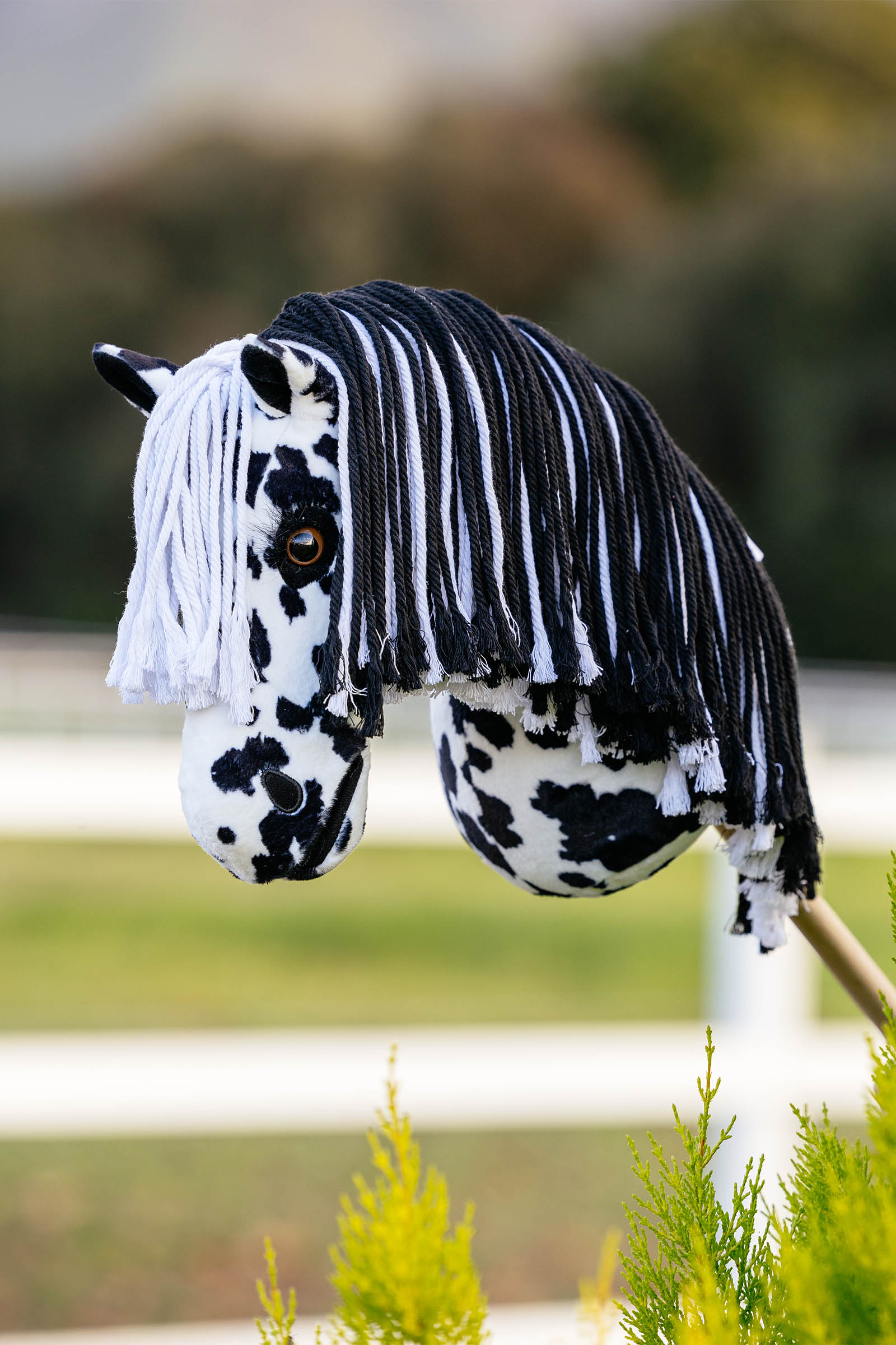 LeMieux Dakota käpphäst