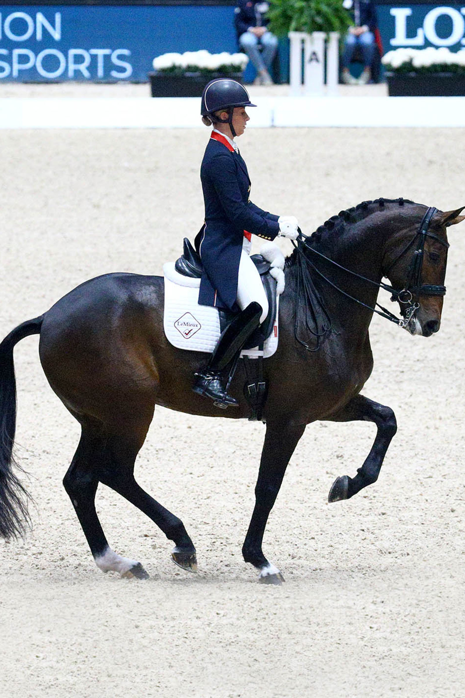LeMieux Dressage Competition Square dressyrschabrak