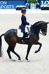 LeMieux Dressage Competition Square dressyrschabrak
