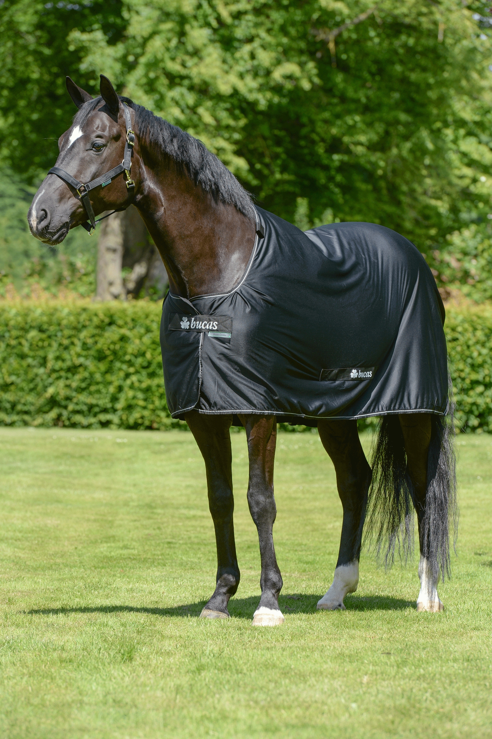 Bucas Power svett&auml;cke