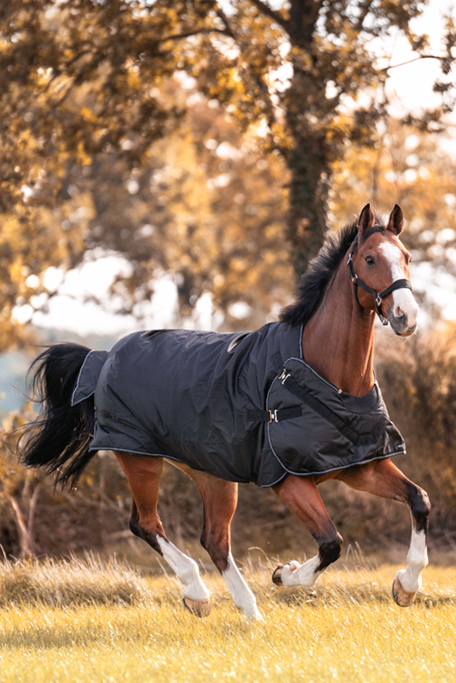 Kavalkade Halifax 2-i-1 Utetäcke och Skrittäcke 50g