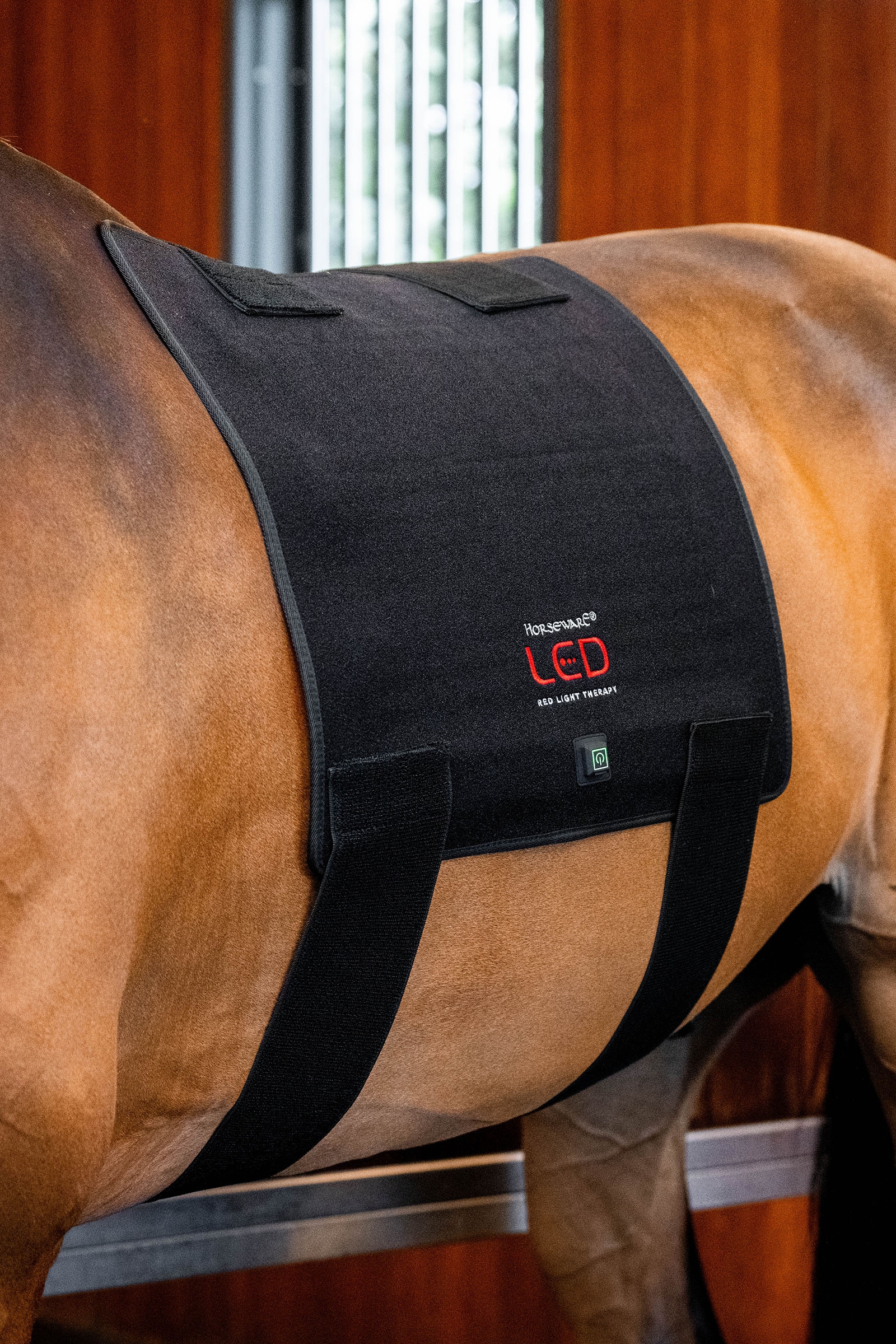 Horseware LED-r&ouml;tt ljusterapi Pad
