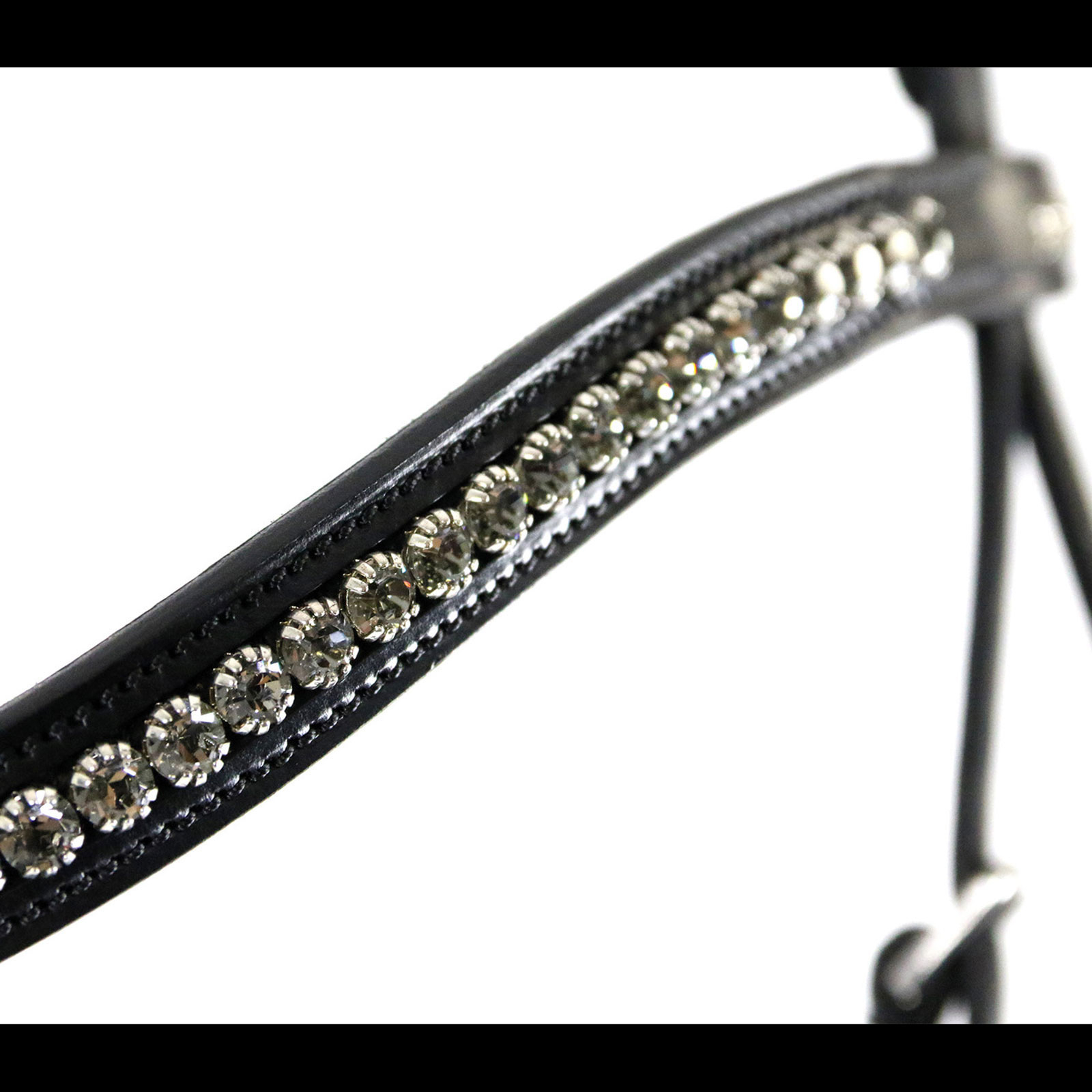 Schockemöhle Sports Equitus Beta träns