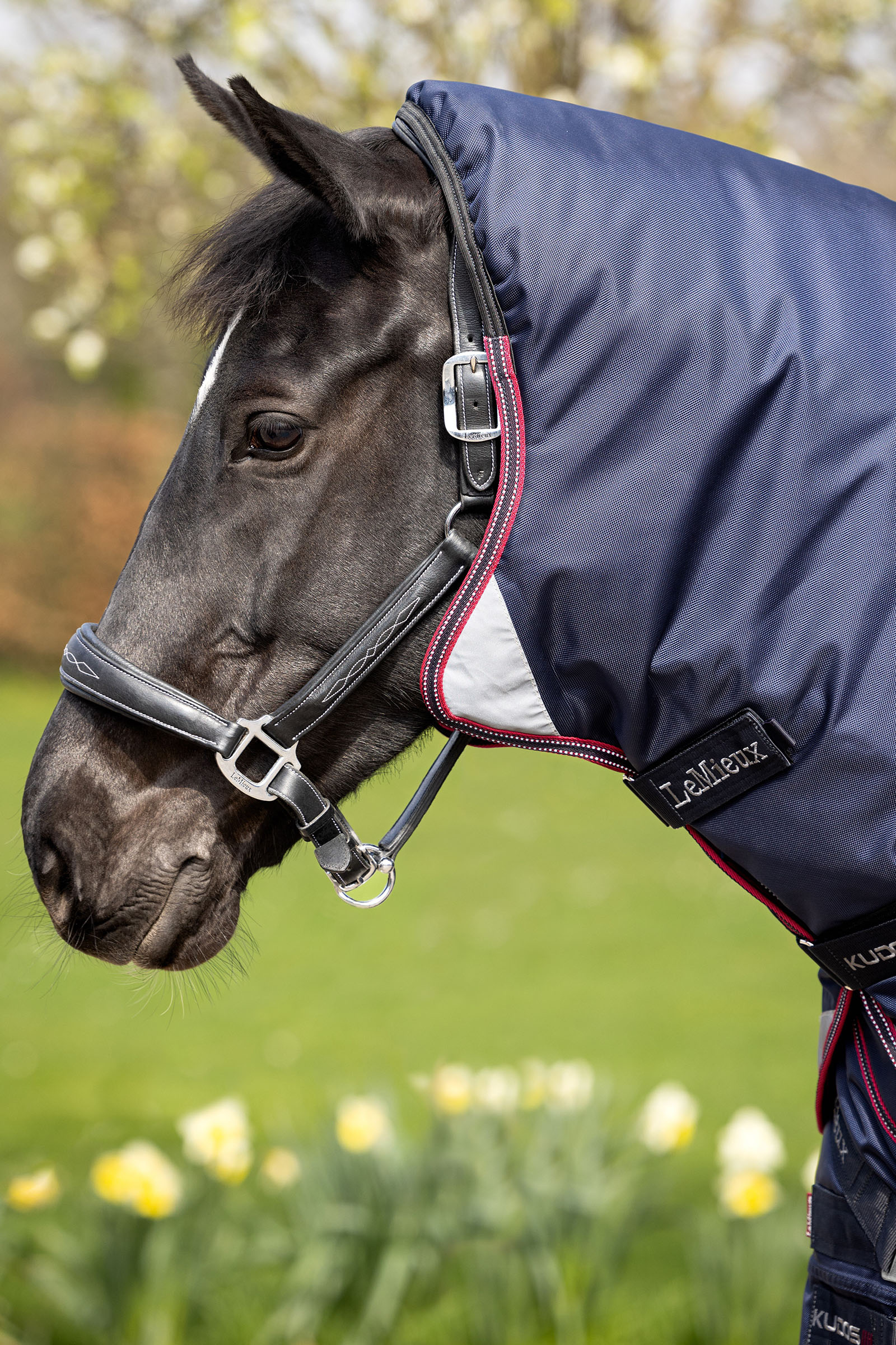 LeMieux Kudos Thermo Layer utet&auml;cke 100g