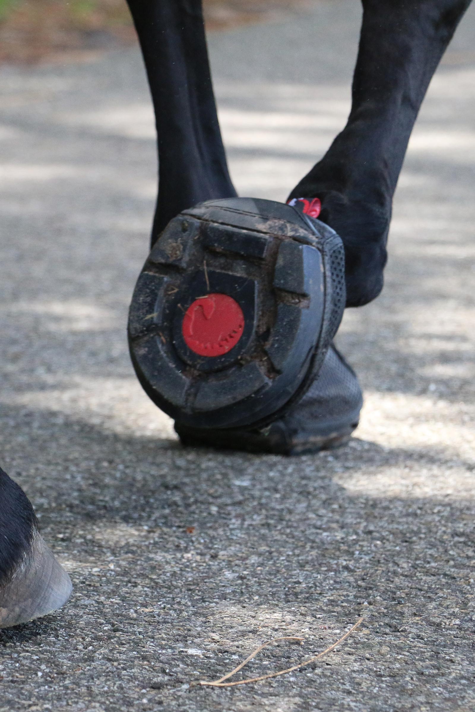 Cavallo Hoof Boots F.R.A. Trek hovboots (smal/par)