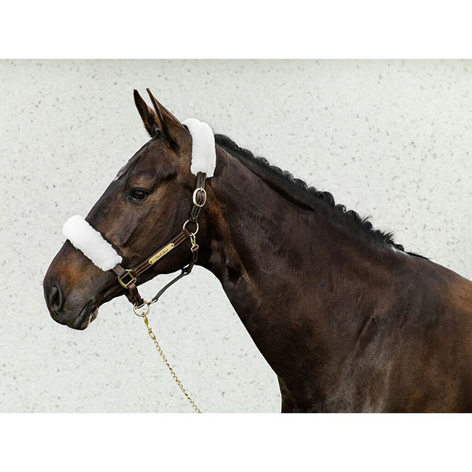 Back on Track grimludd