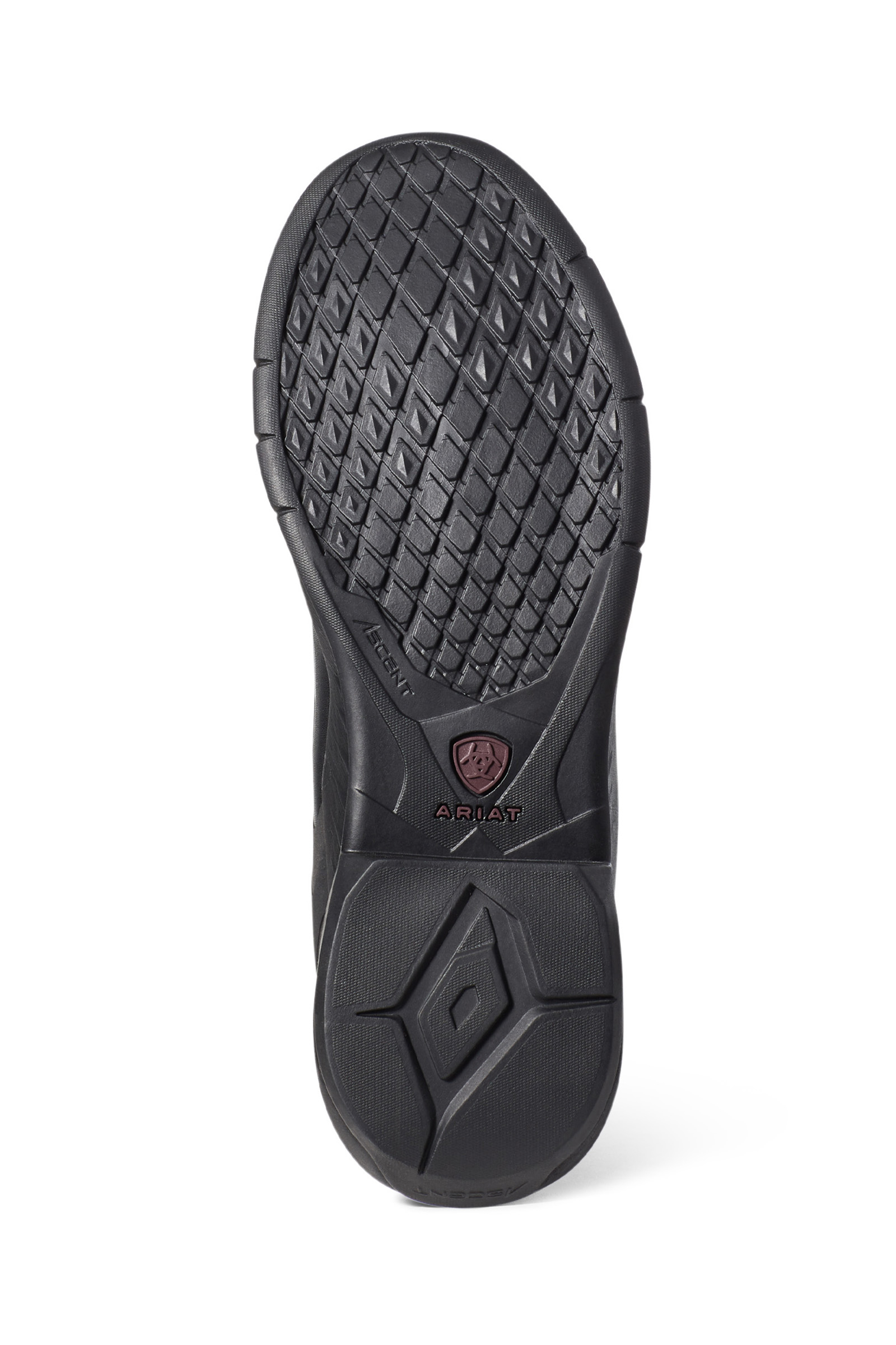 Ariat Ascent höga ridstövlar för damer