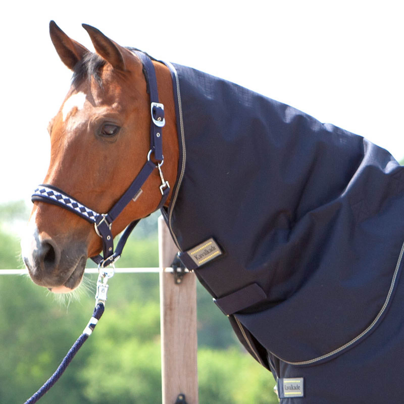 Kavalkade halstäcke för Montreal Turnout täcke, 100g