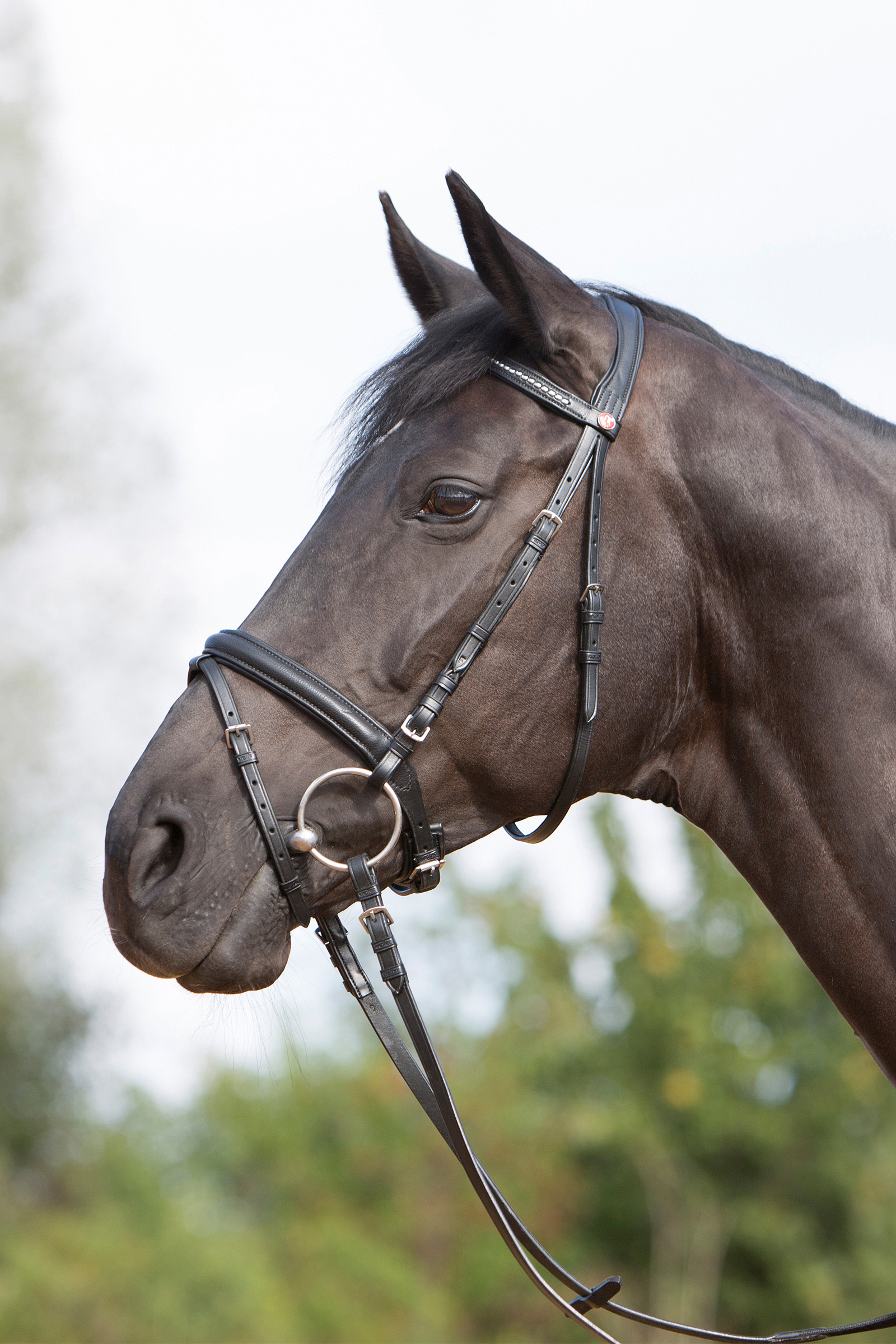 Kieffer Ultrasoft® Bridle