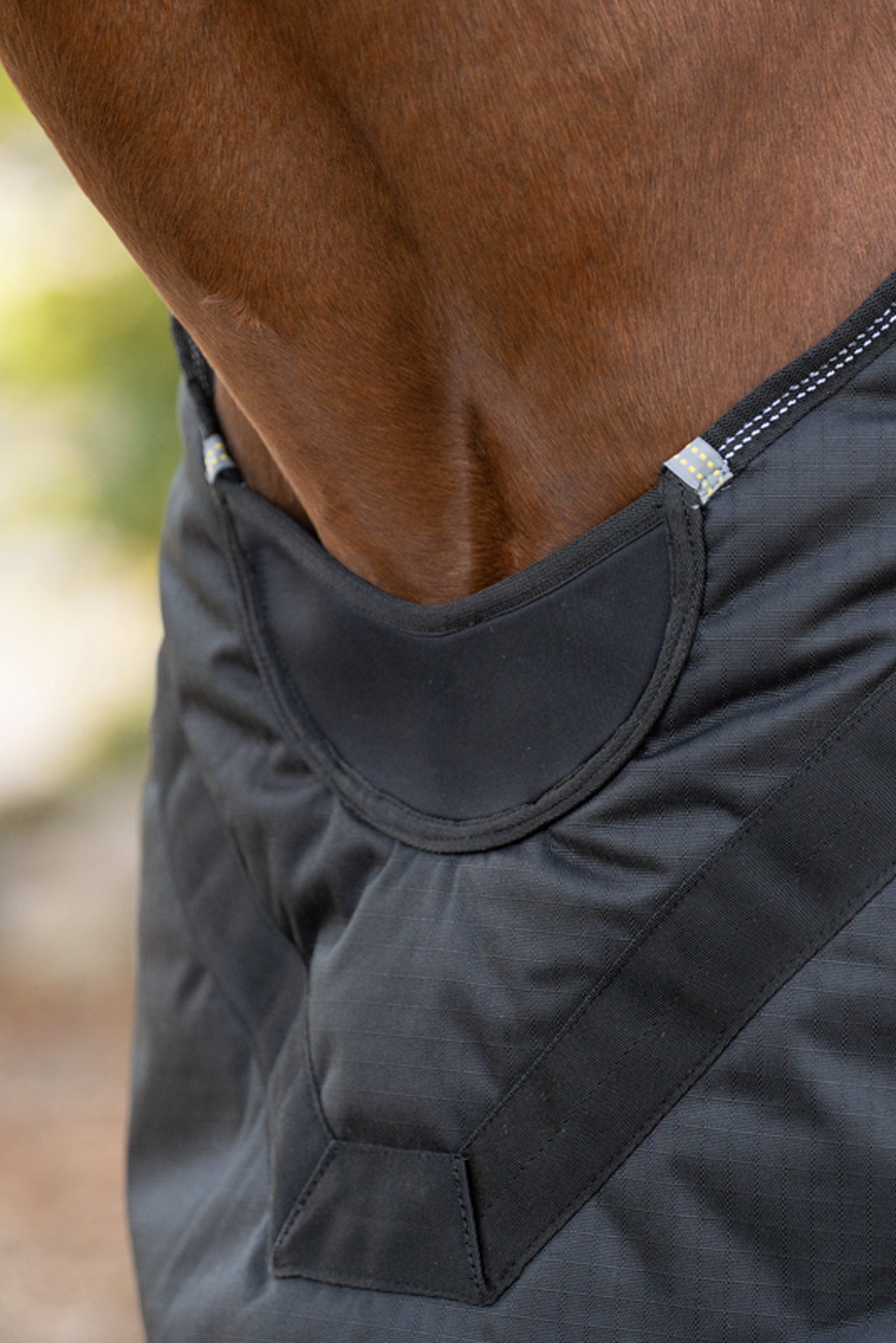 Kavalkade Halifax 2-i-1 Utet&auml;cke och Skritt&auml;cke 50g