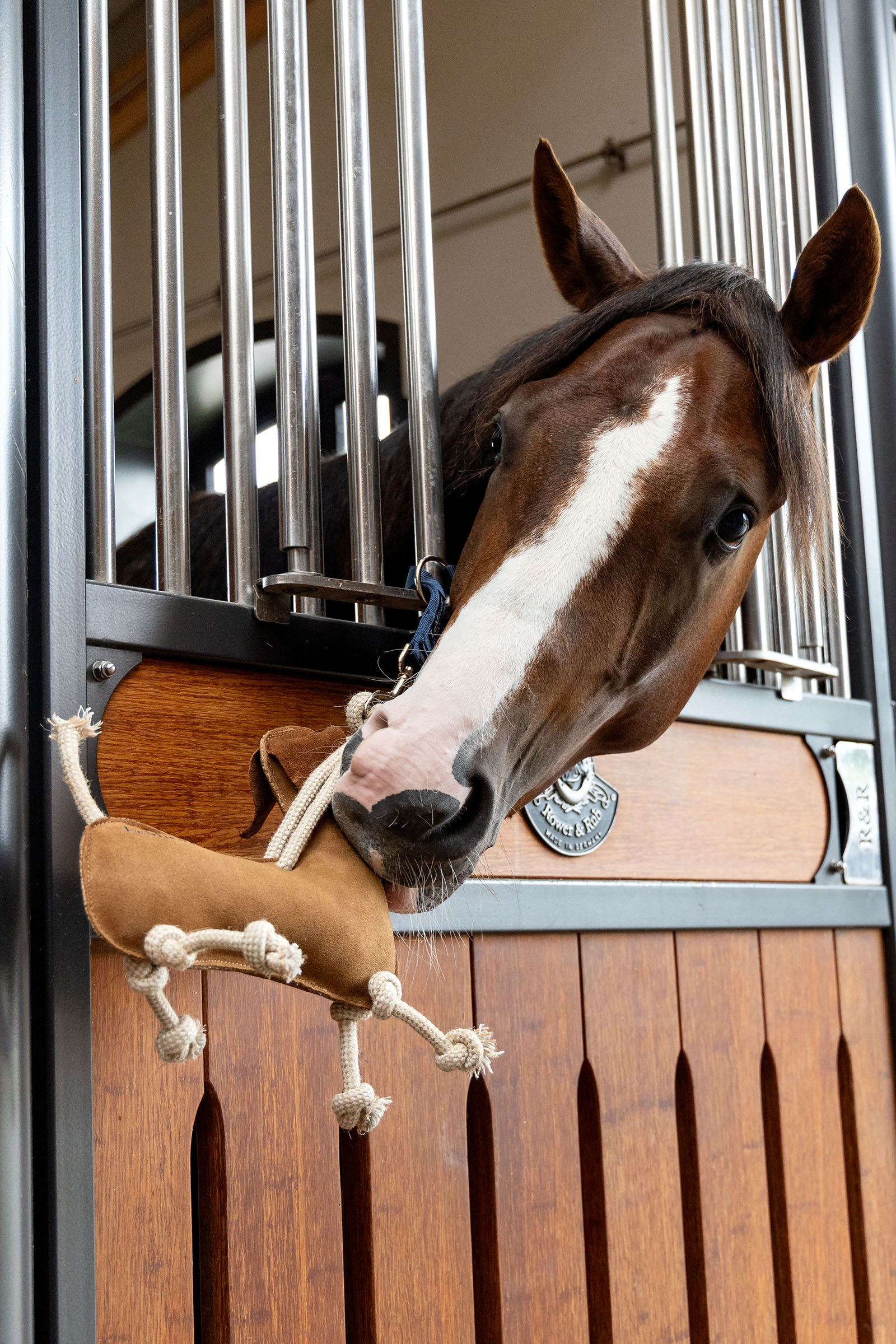 LeMieux h&auml;stleksak tax