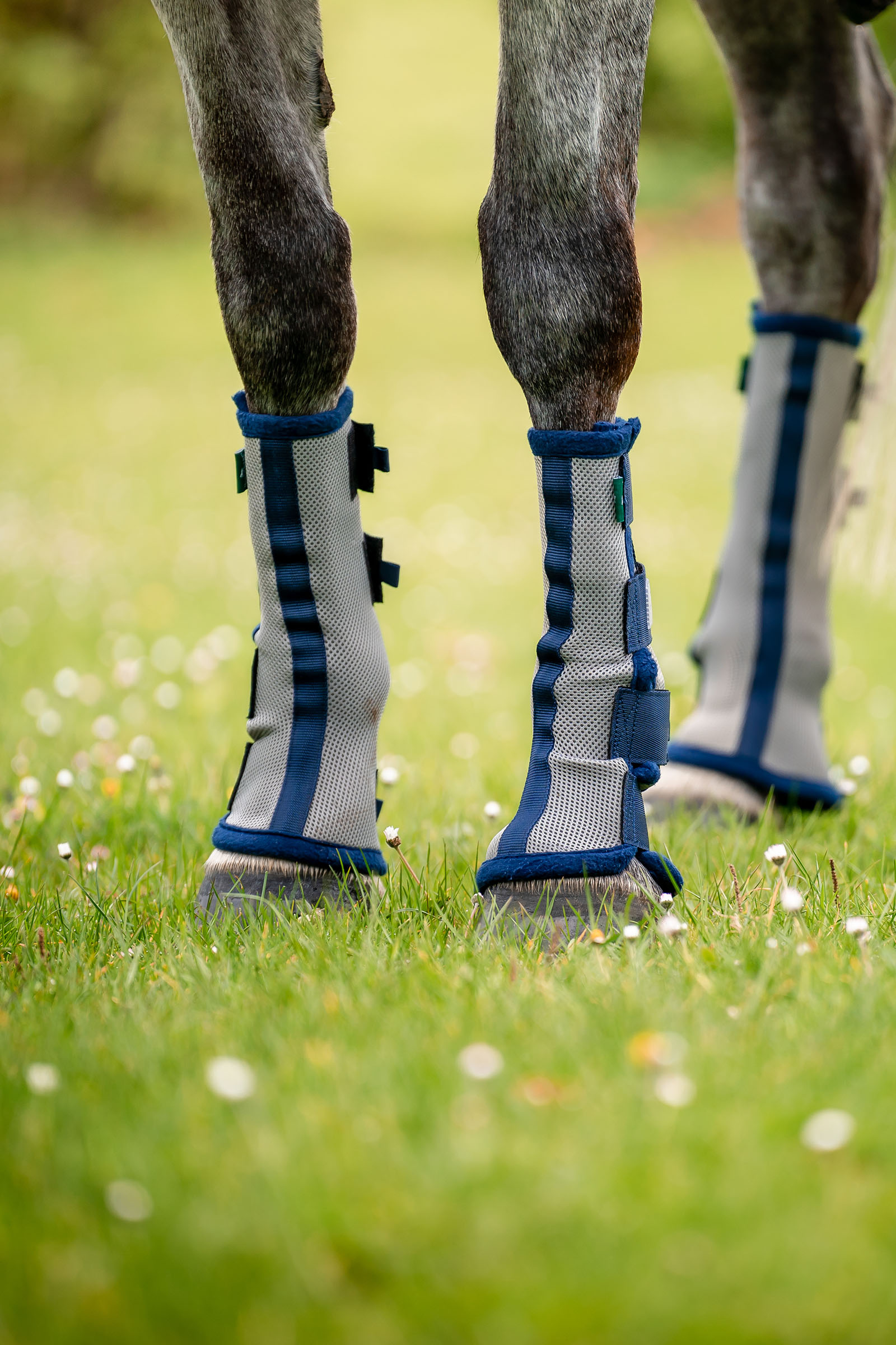 Horseware Fly Boots - set om 2
