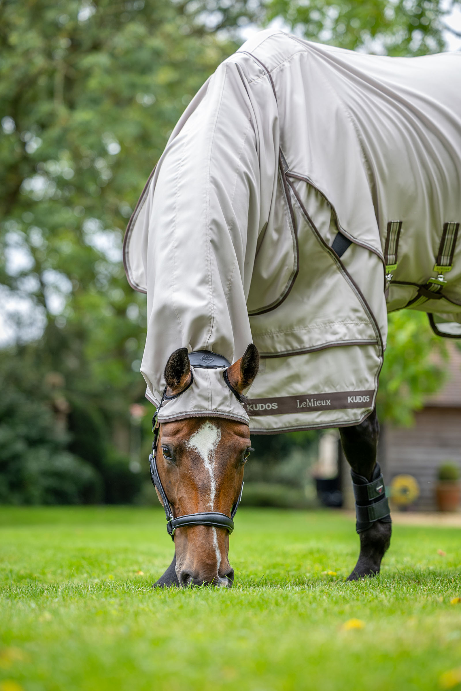 LeMieux Kudos eksemtäcke