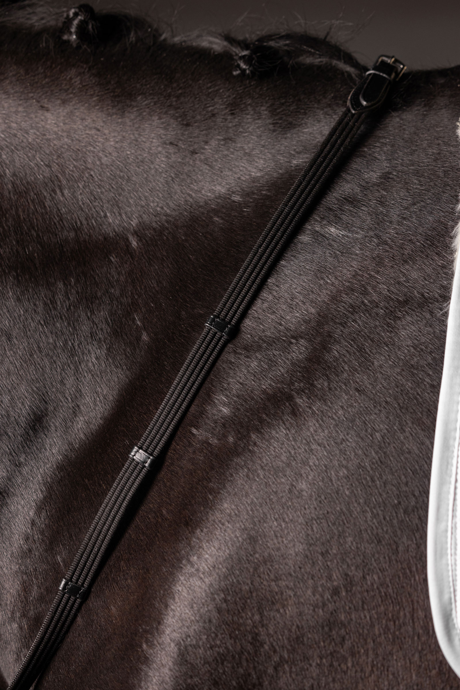 LeMieux Continental vävda tyglar