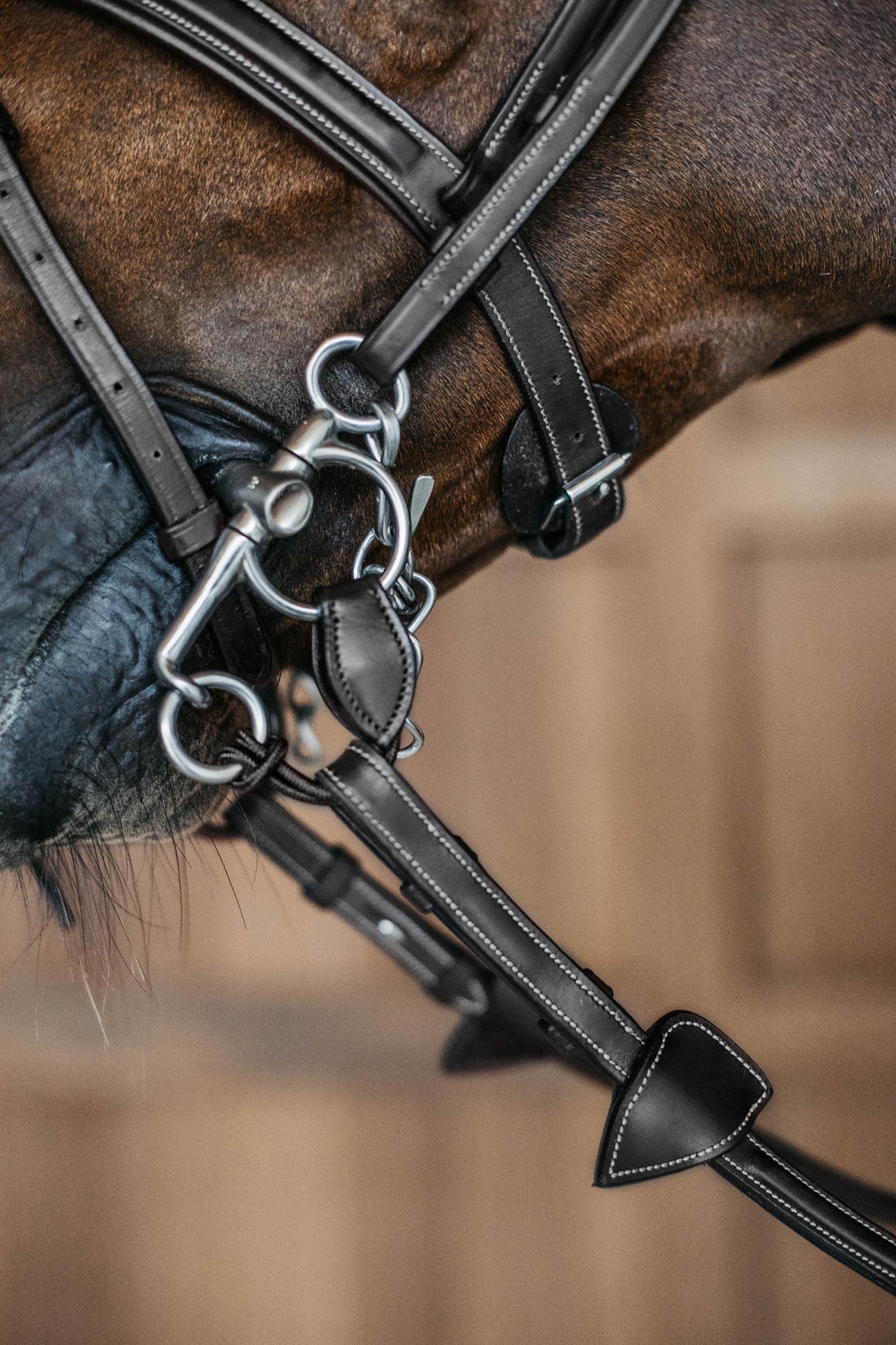 Dy'on korta pelhamremmar  